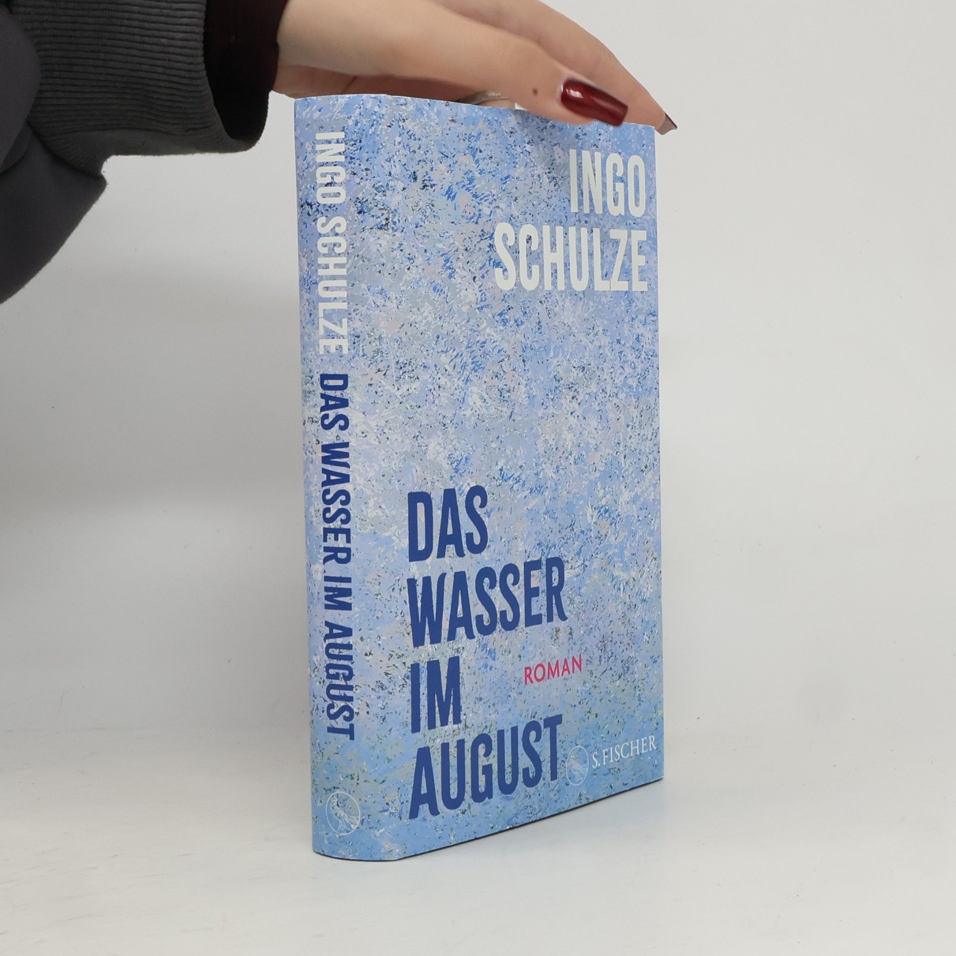 Ingo Schulze Das Wasser im August: Roman | Longlist Deutscher Buchpreis 2026