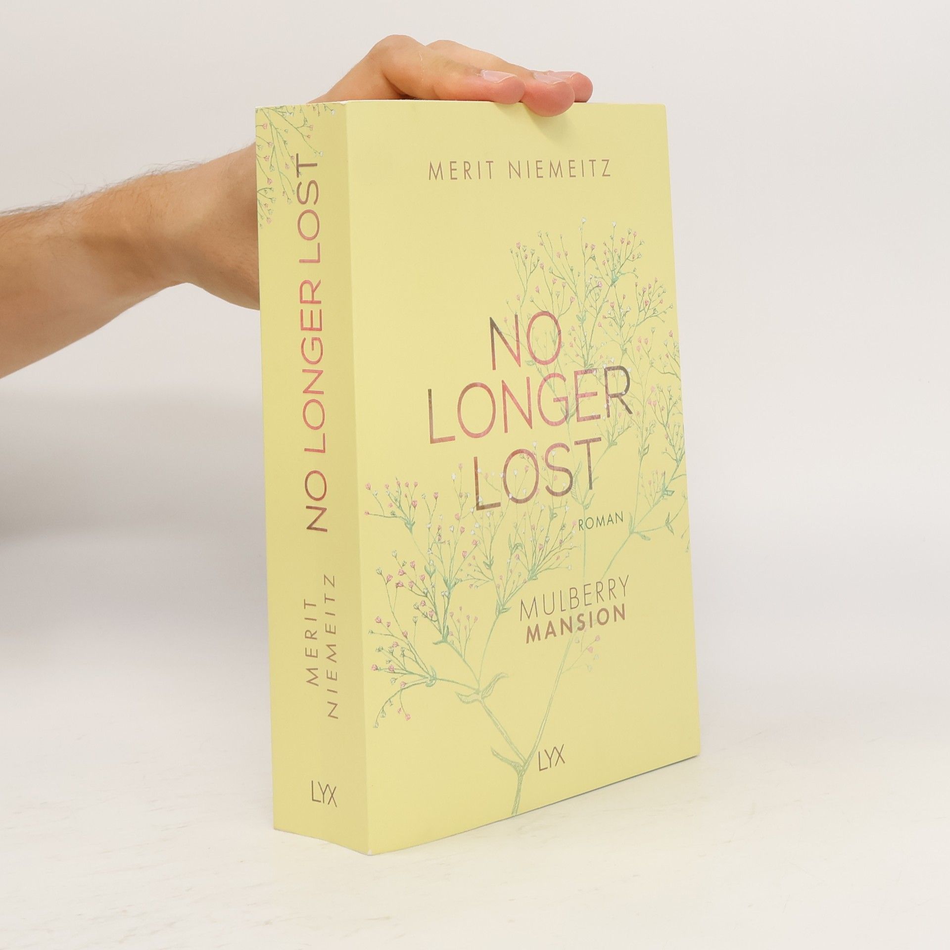 Merit Niemeitz No Longer Lost