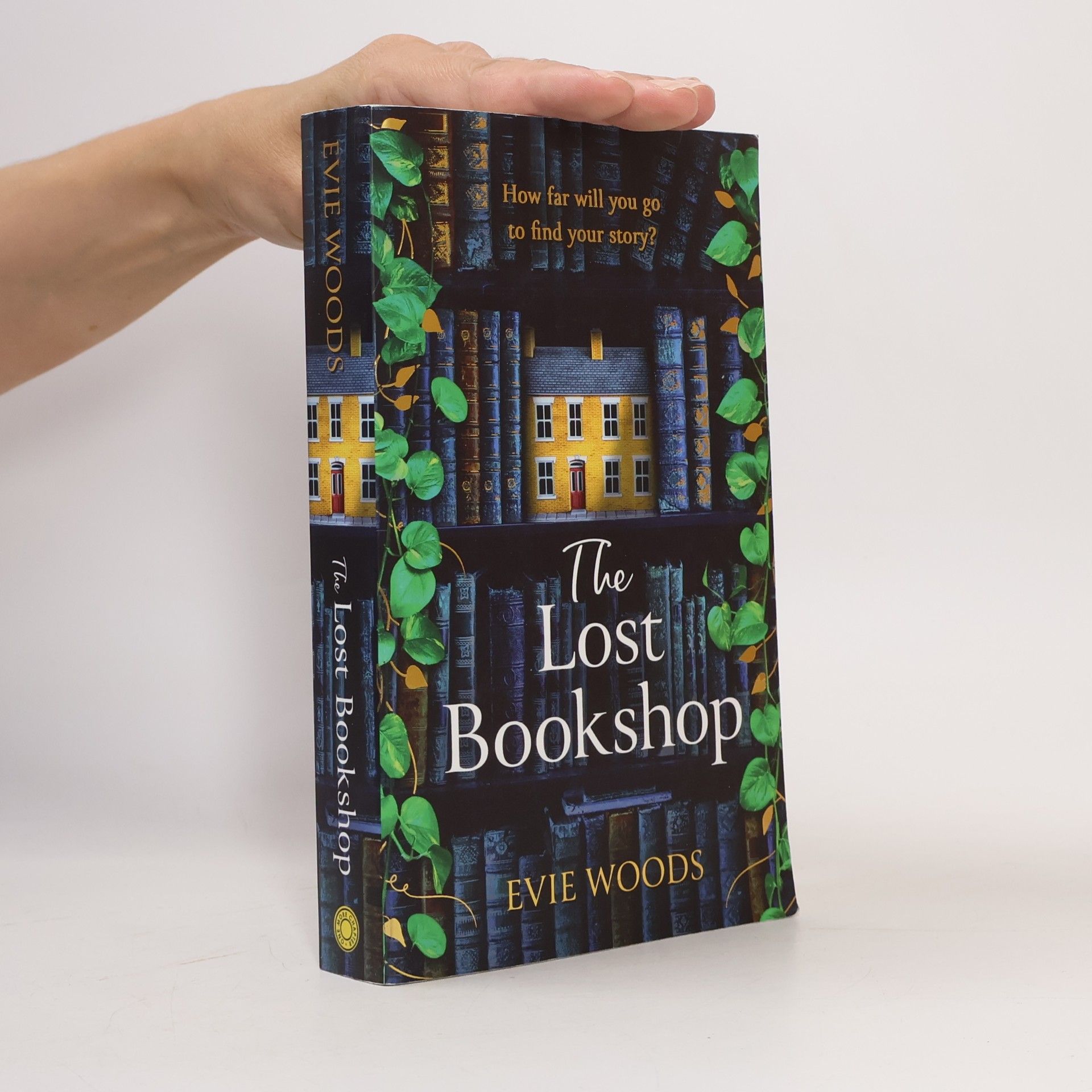 Evie Woods The Lost Bookshop