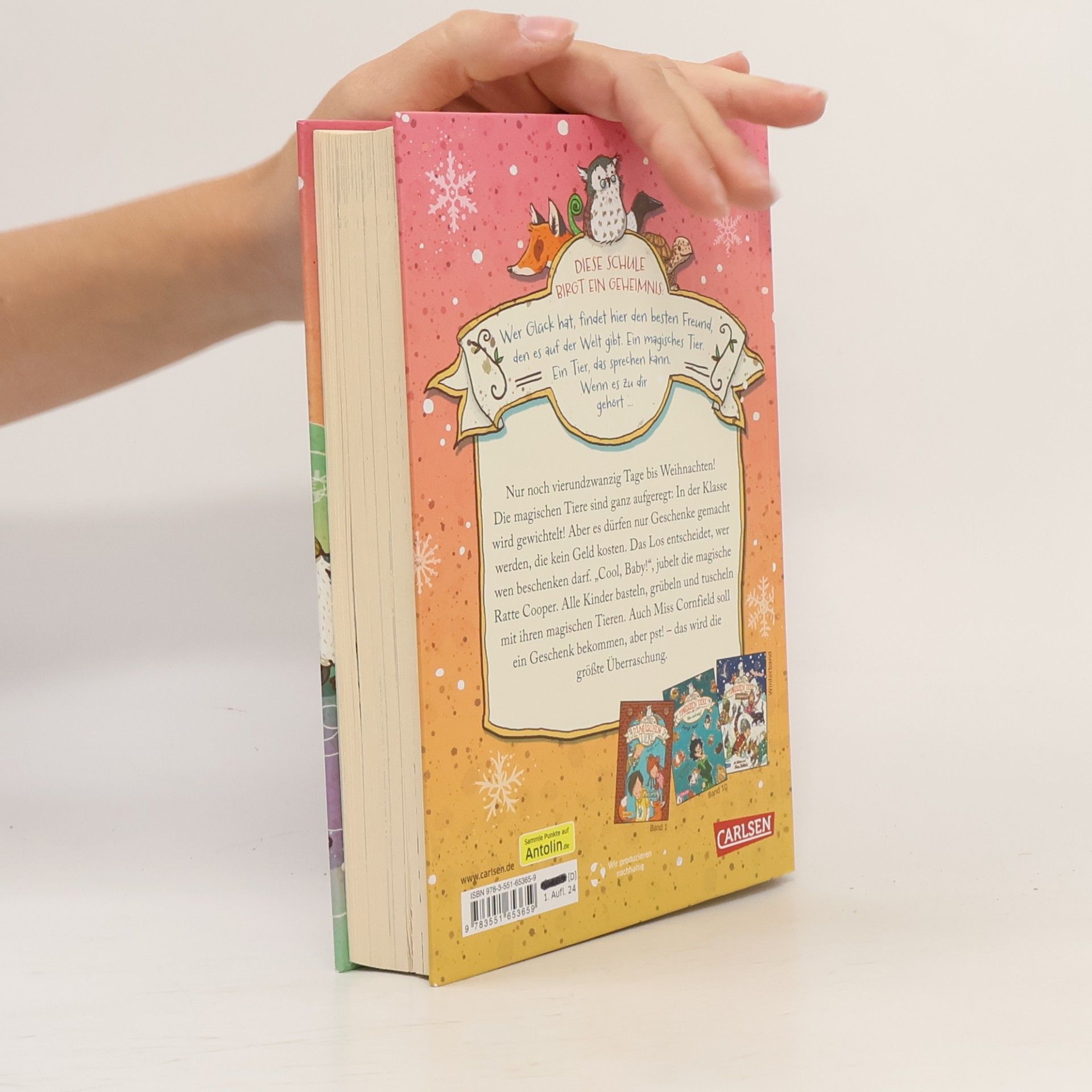 Margit Auer Vierundzwanzig / Die Schule der magischen Tiere Bd.15