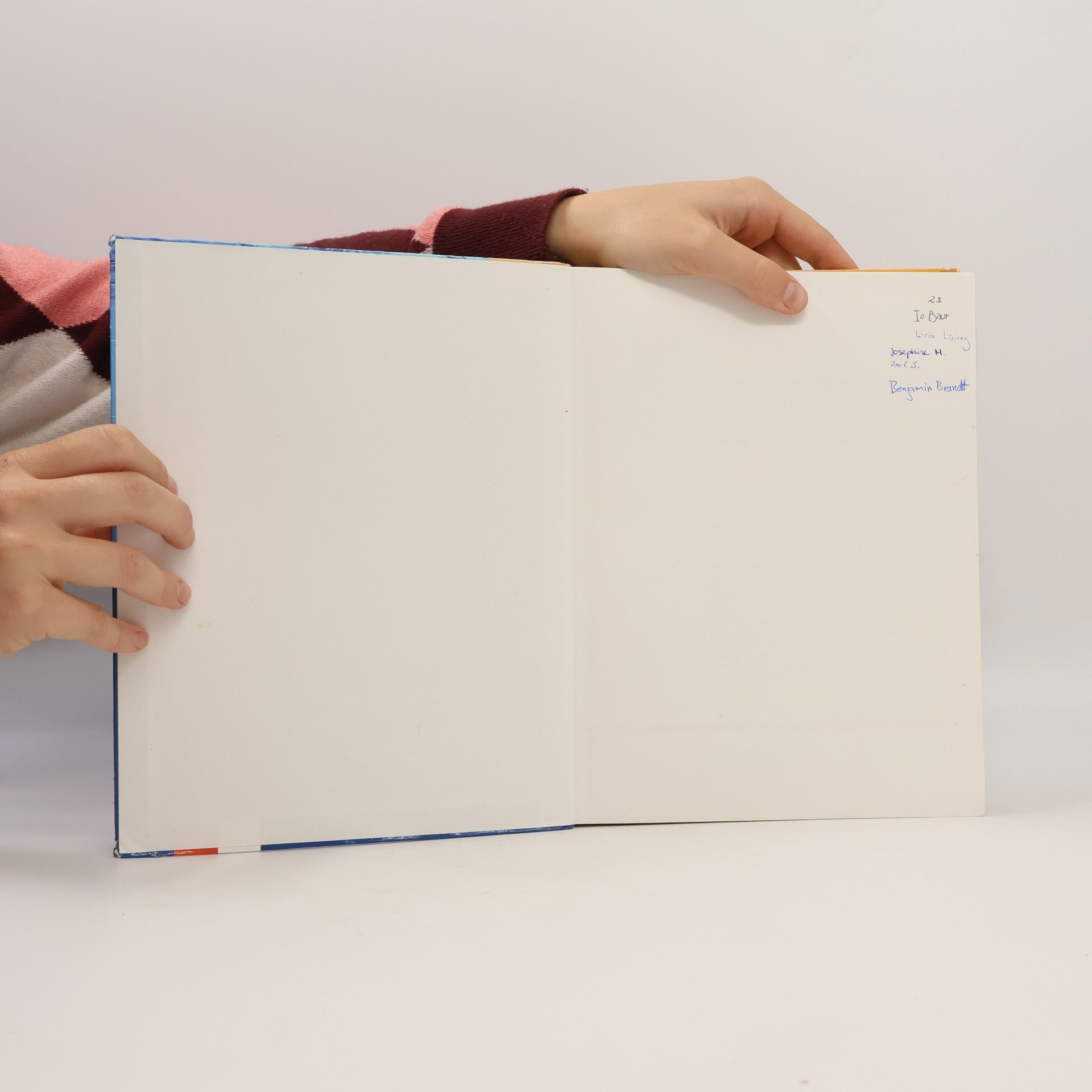 Kolektiv autorů Lambacher Schweizer - Mathematik für Gymnasien