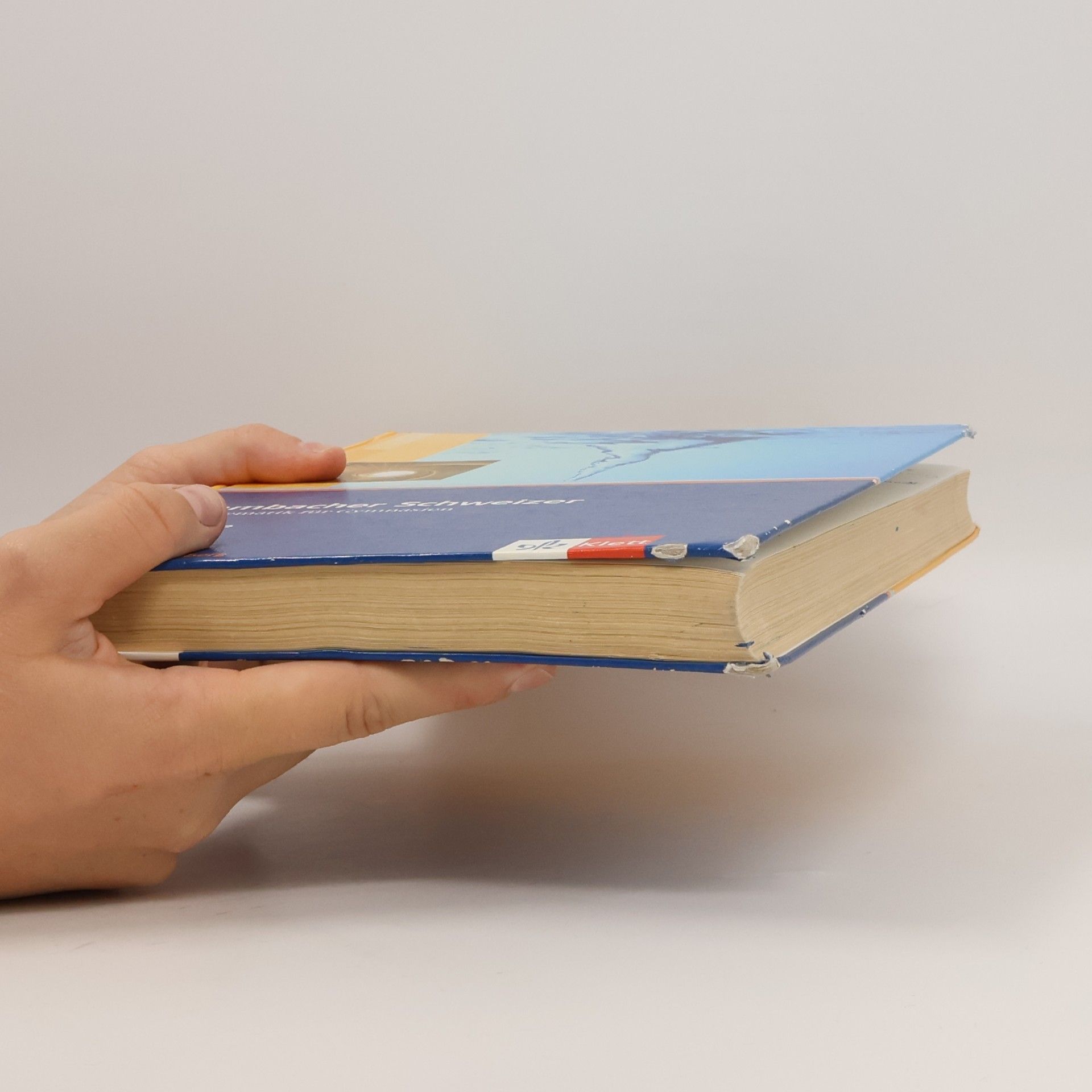 Kolektiv autorů Lambacher Schweizer - Mathematik für Gymnasien