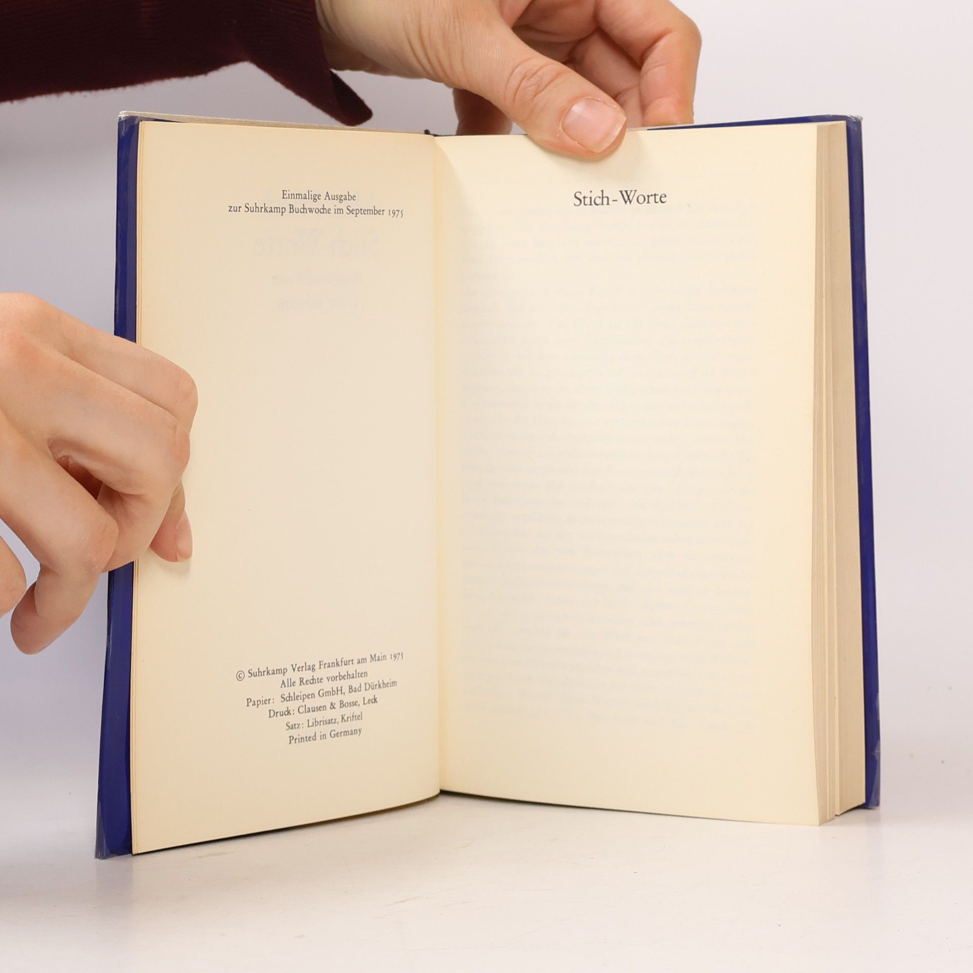Max Frisch Stich-Worte