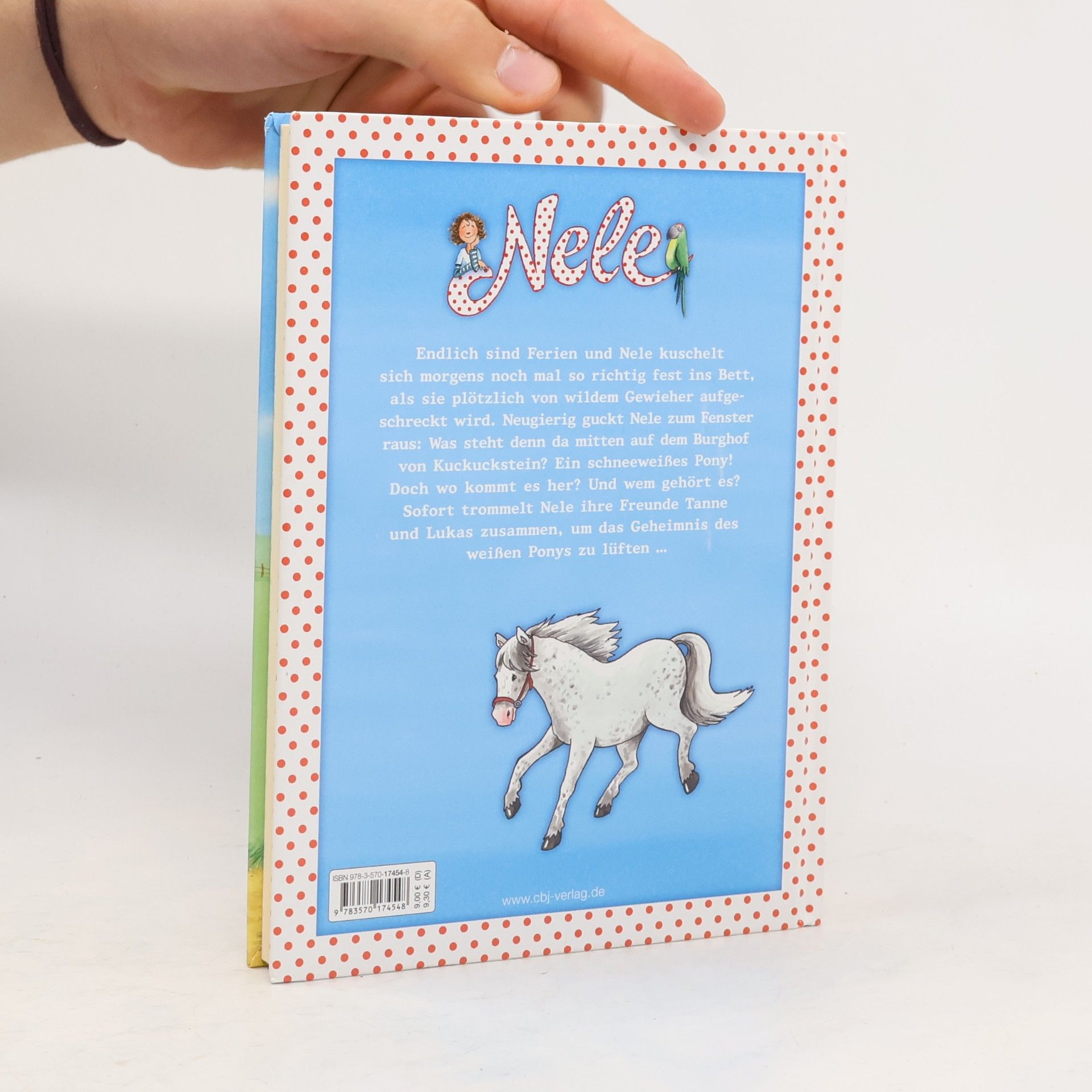 Usch Luhn Nele - Die Erzählbände - 18: Nele rettet ein Pony