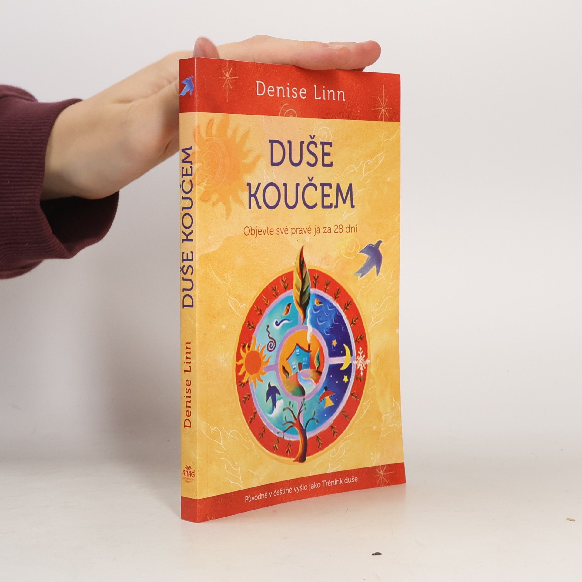 Duše koučem: objevte své pravé já za 28 dní