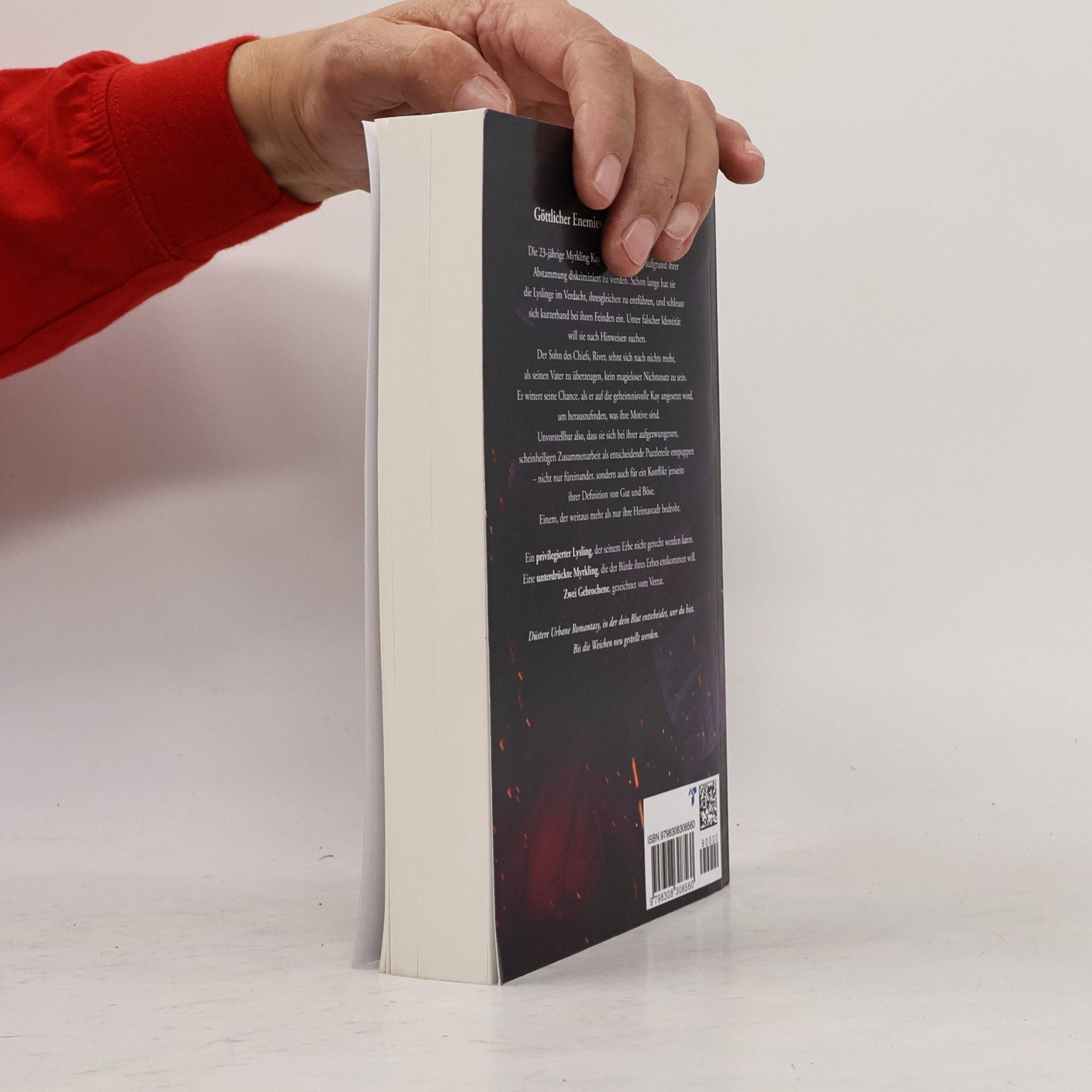 Rieke Clausen Broken Gods: Das Erbe der Dunklen