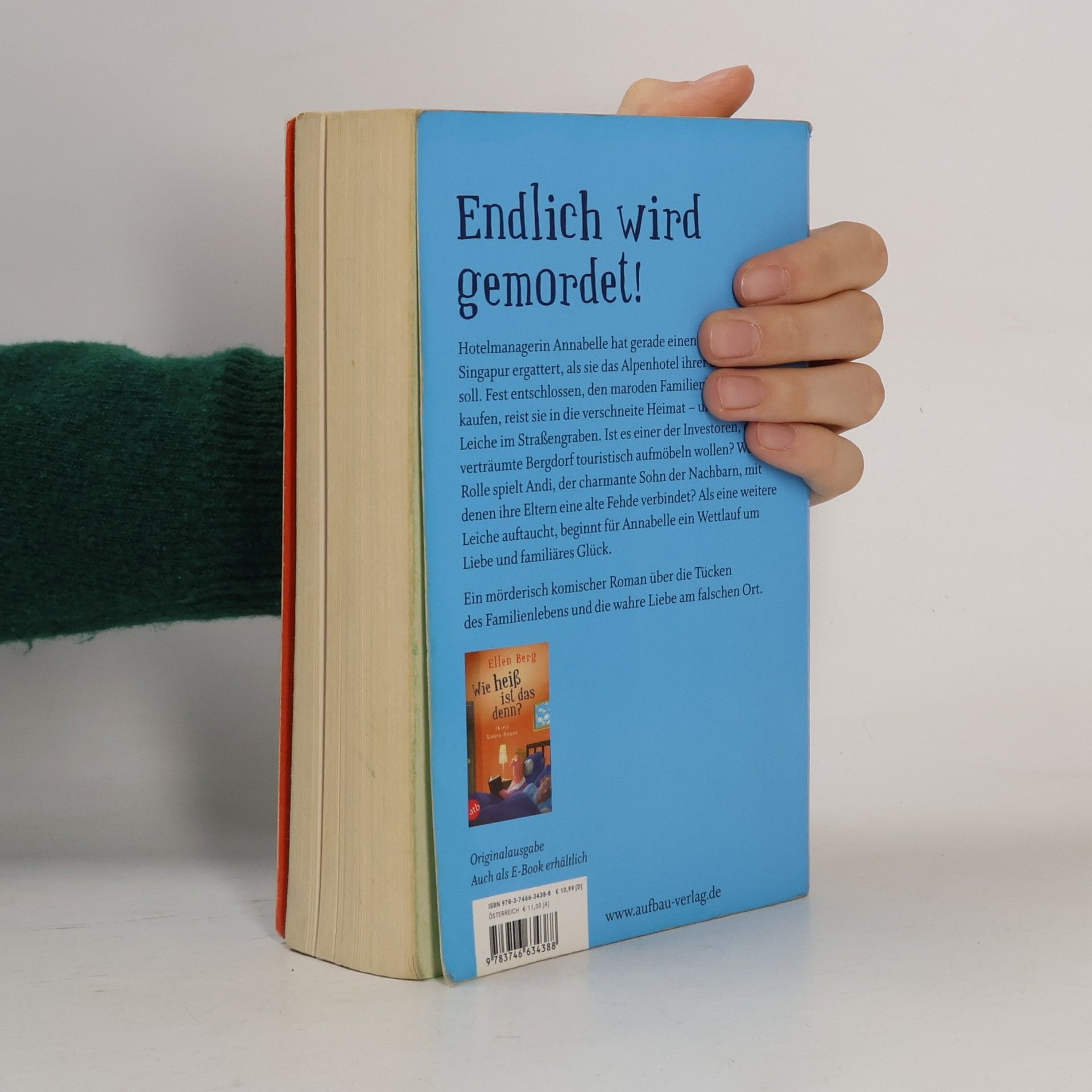 Ellen Berg Ich küss dich tot: (K)ein Familien-Roman