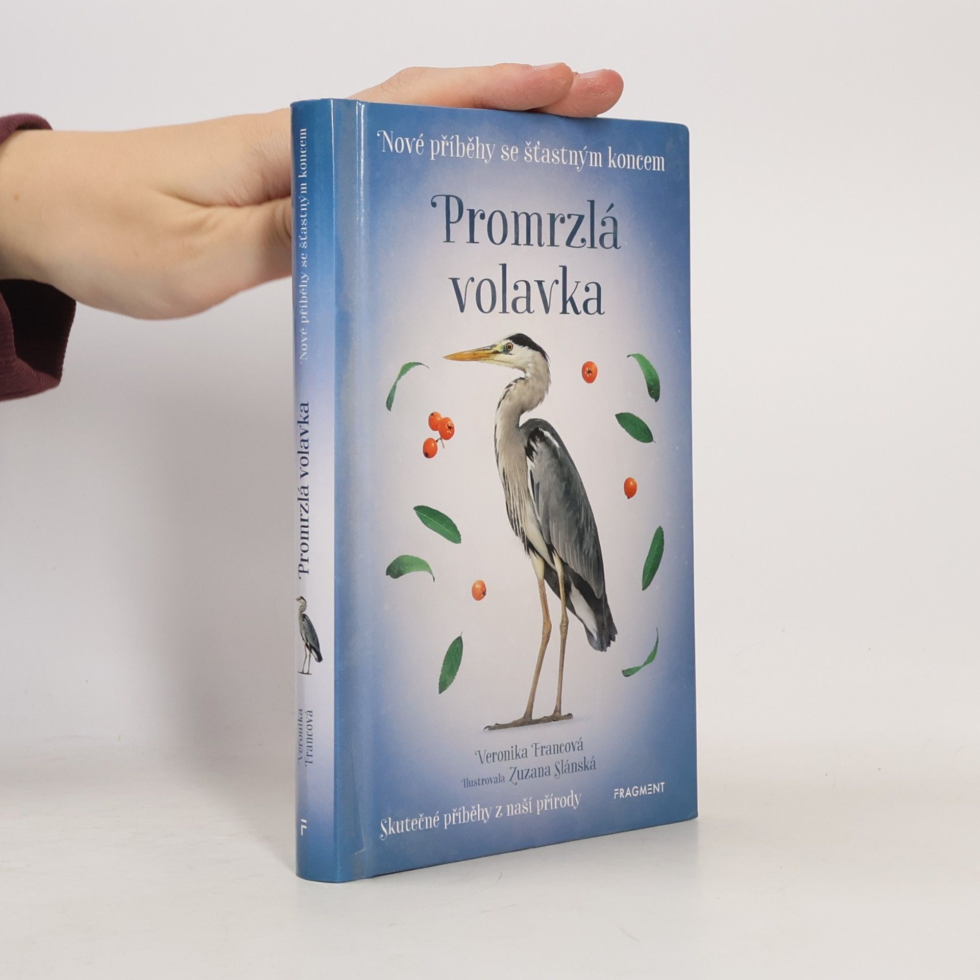Veronika Francová Promrzlá volavka