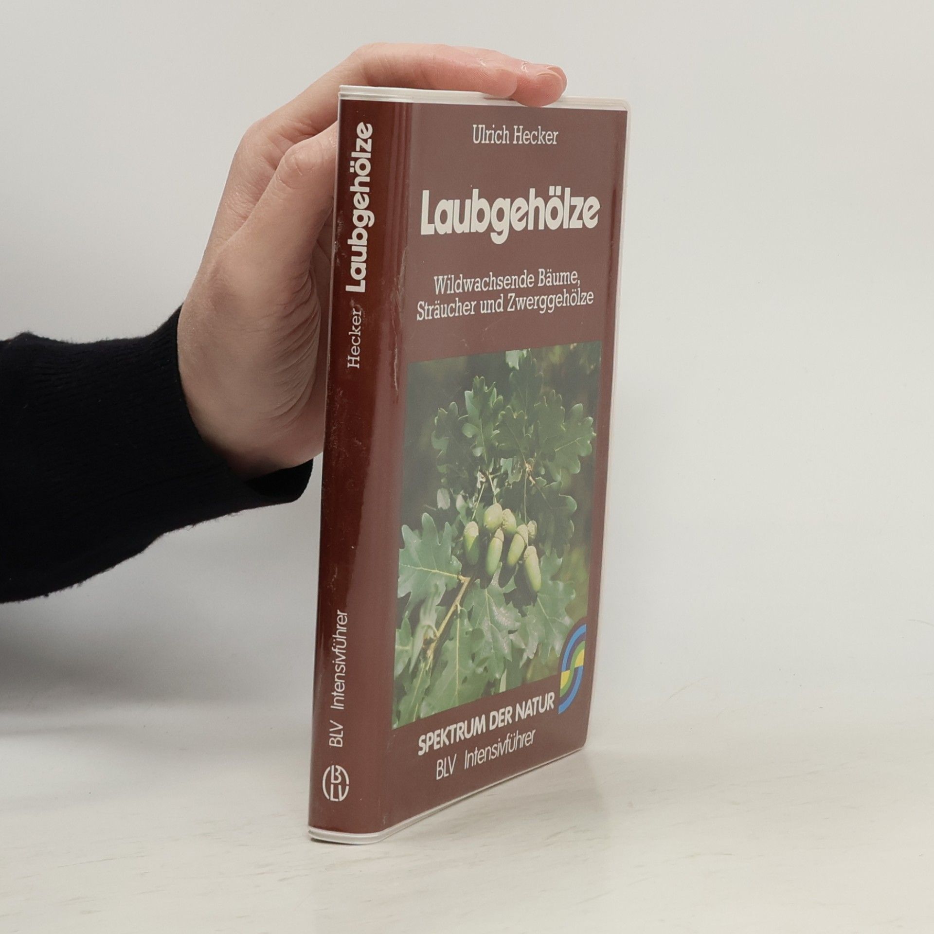 Laubgehölze