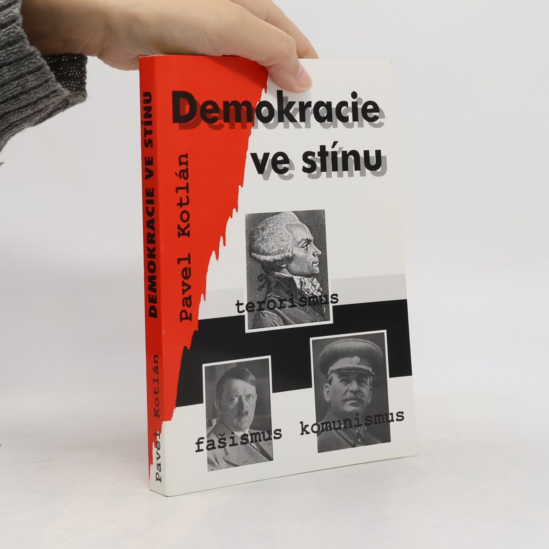 Demokracie ve stínu