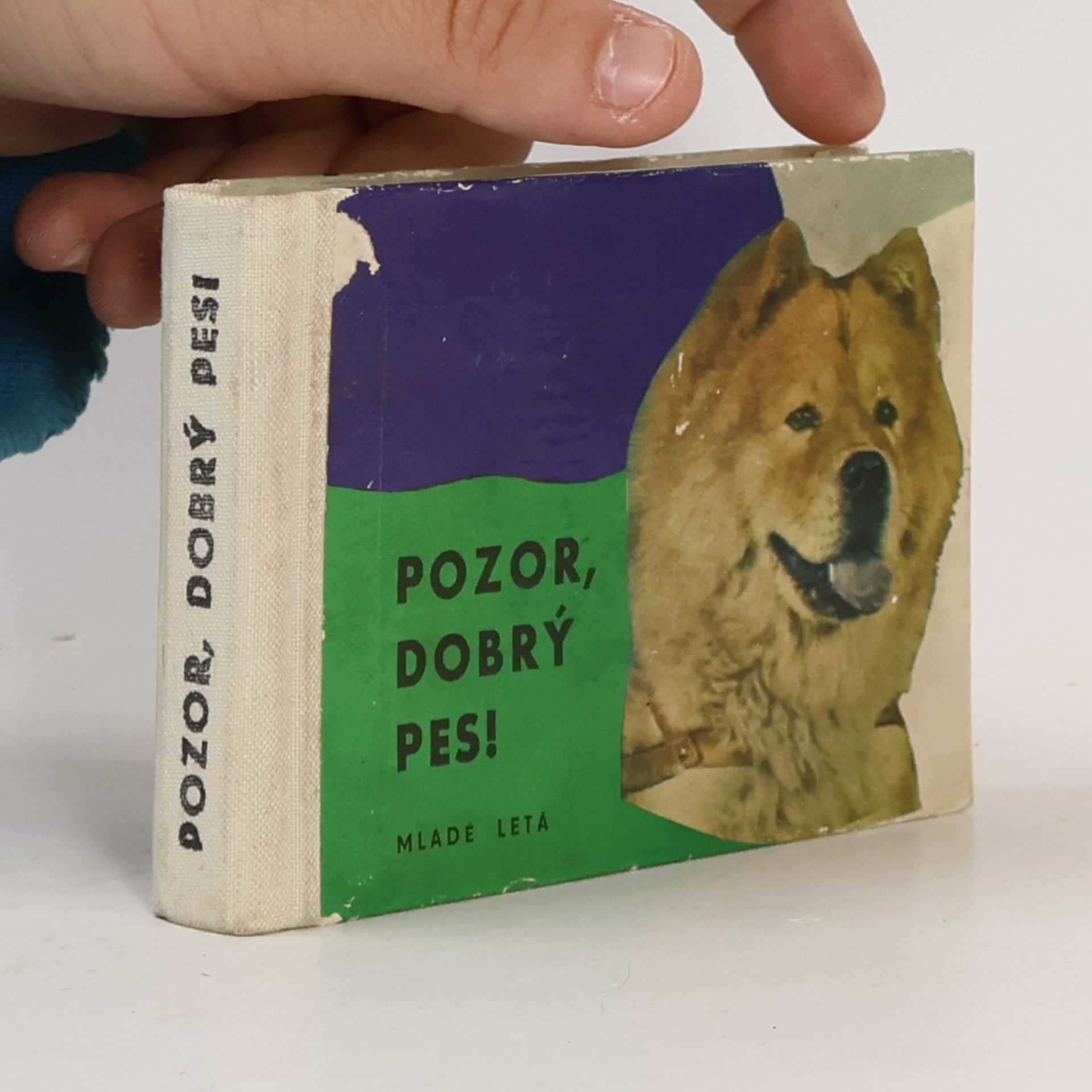 Pozor, dobrý pes!