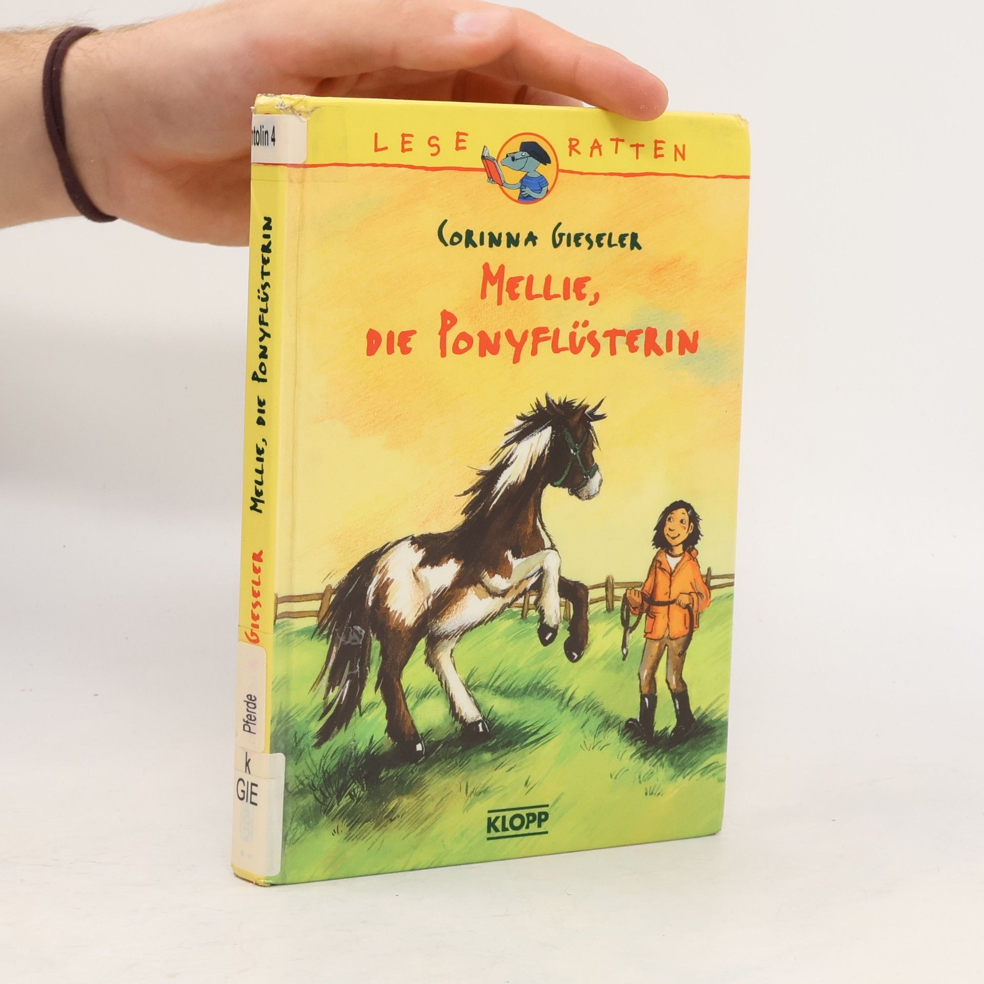Mellie, die ponyflüsterin