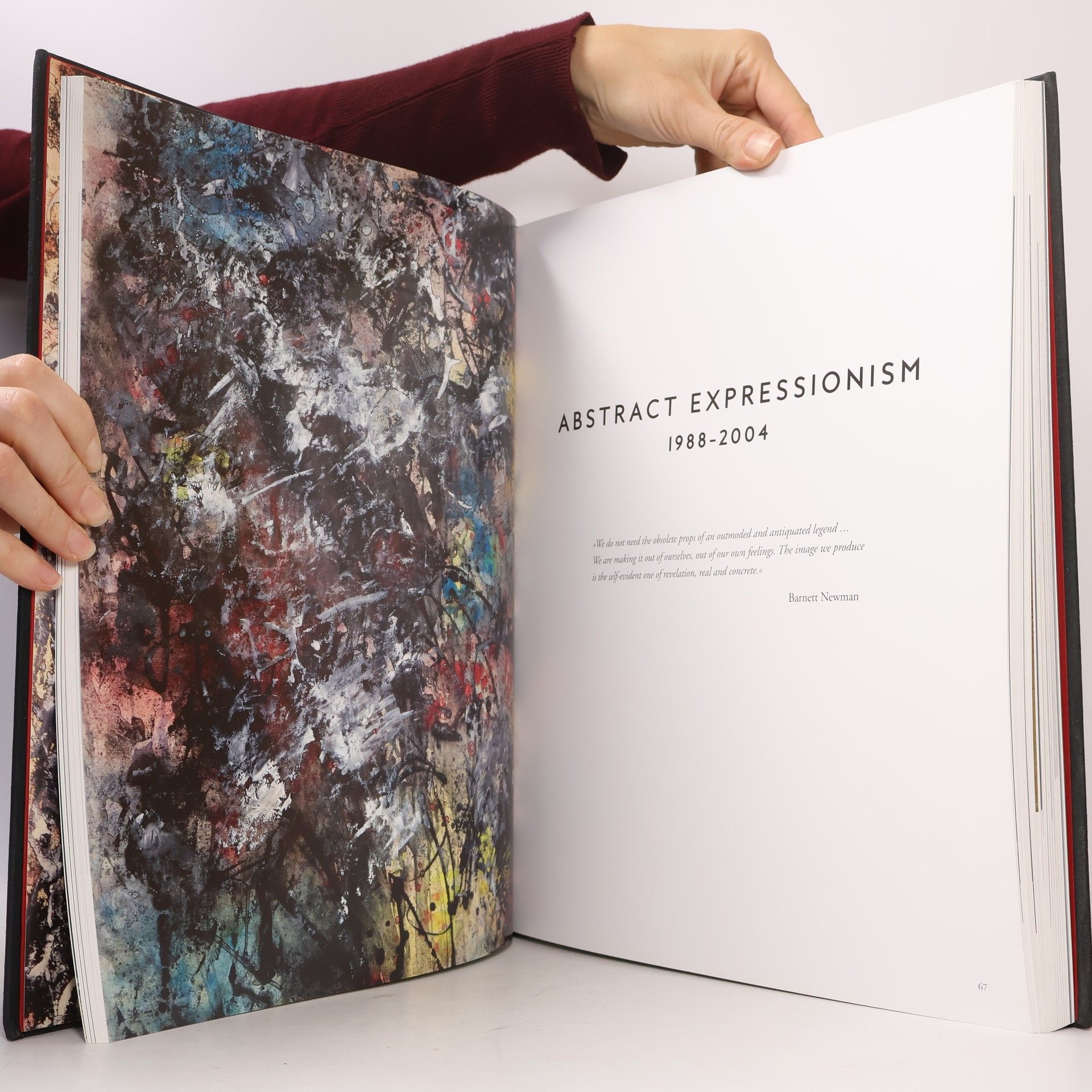 Michael Nungesser Retrospective 1968-2018