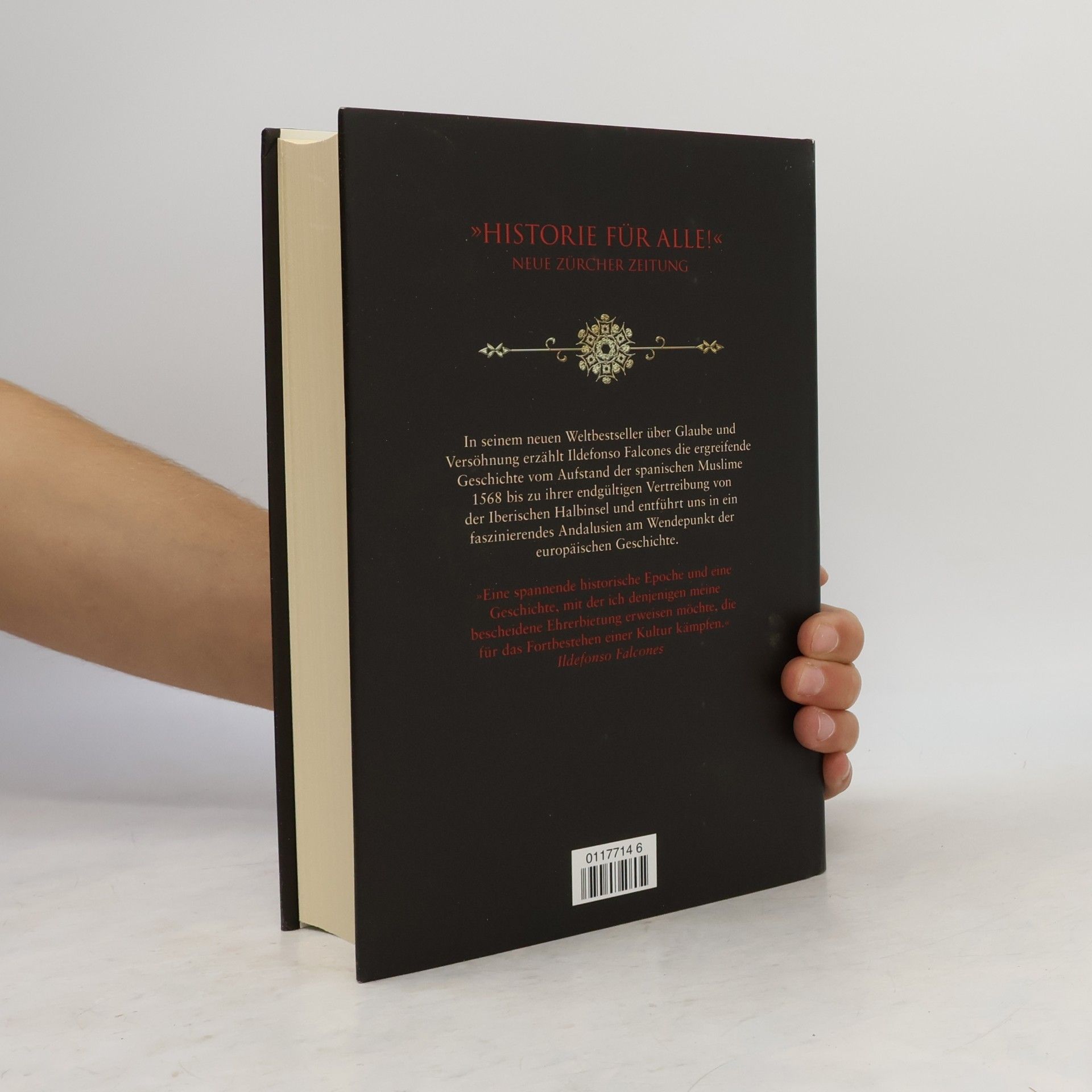 Ildefonso Falcones Die Pfeiler des Glaubens