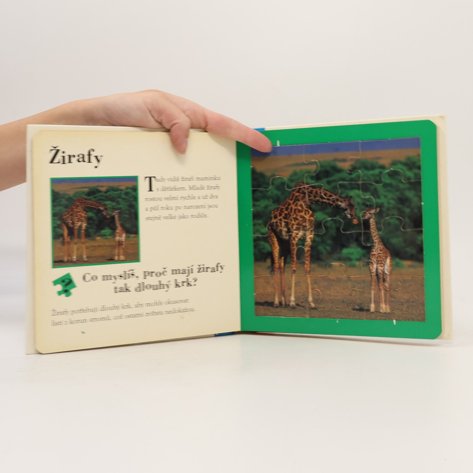Various authors Zvířata z Afriky : knížka s pěti skládačkami