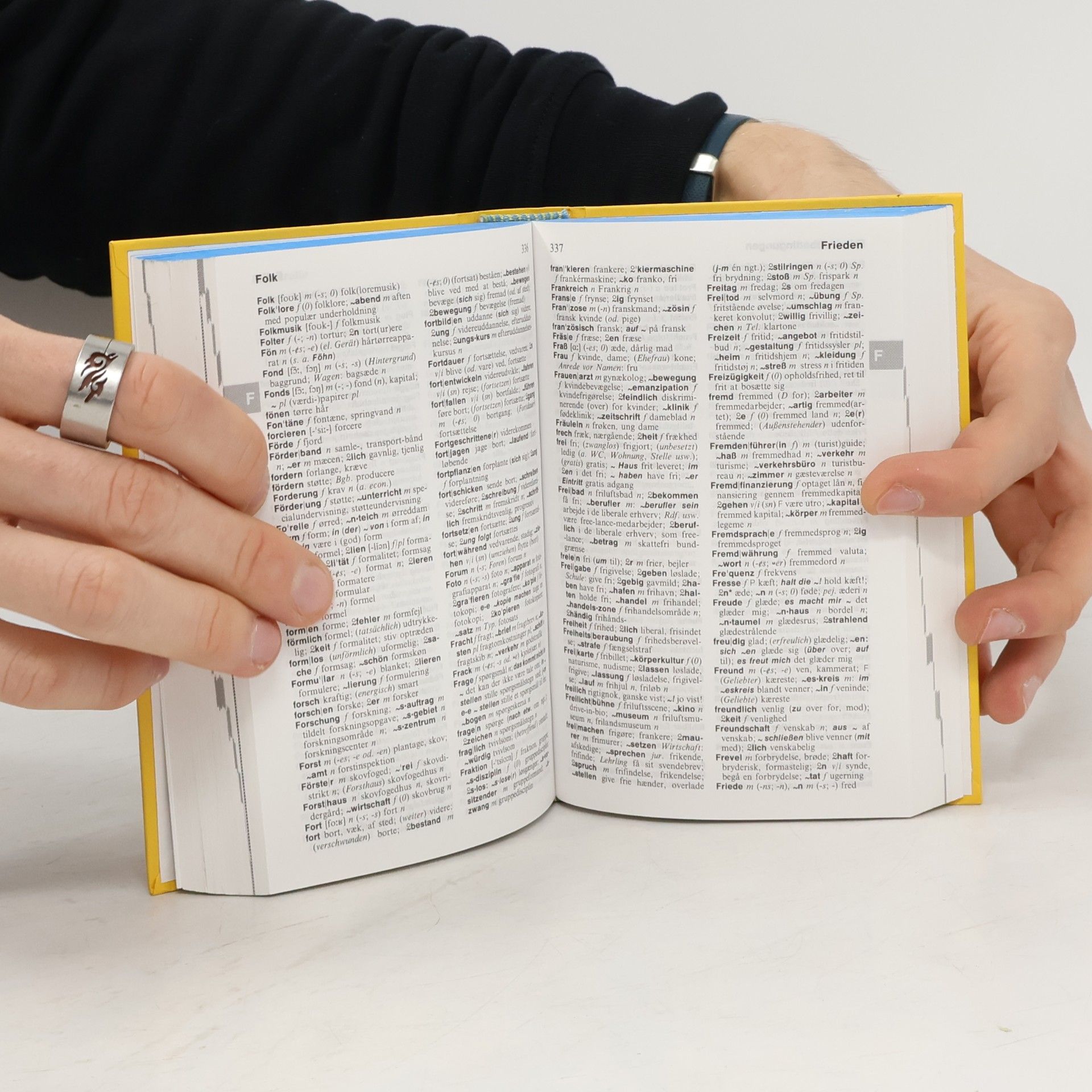 Eckhard Bodenstein Langenscheidts Eurowörterbuch Dänisch