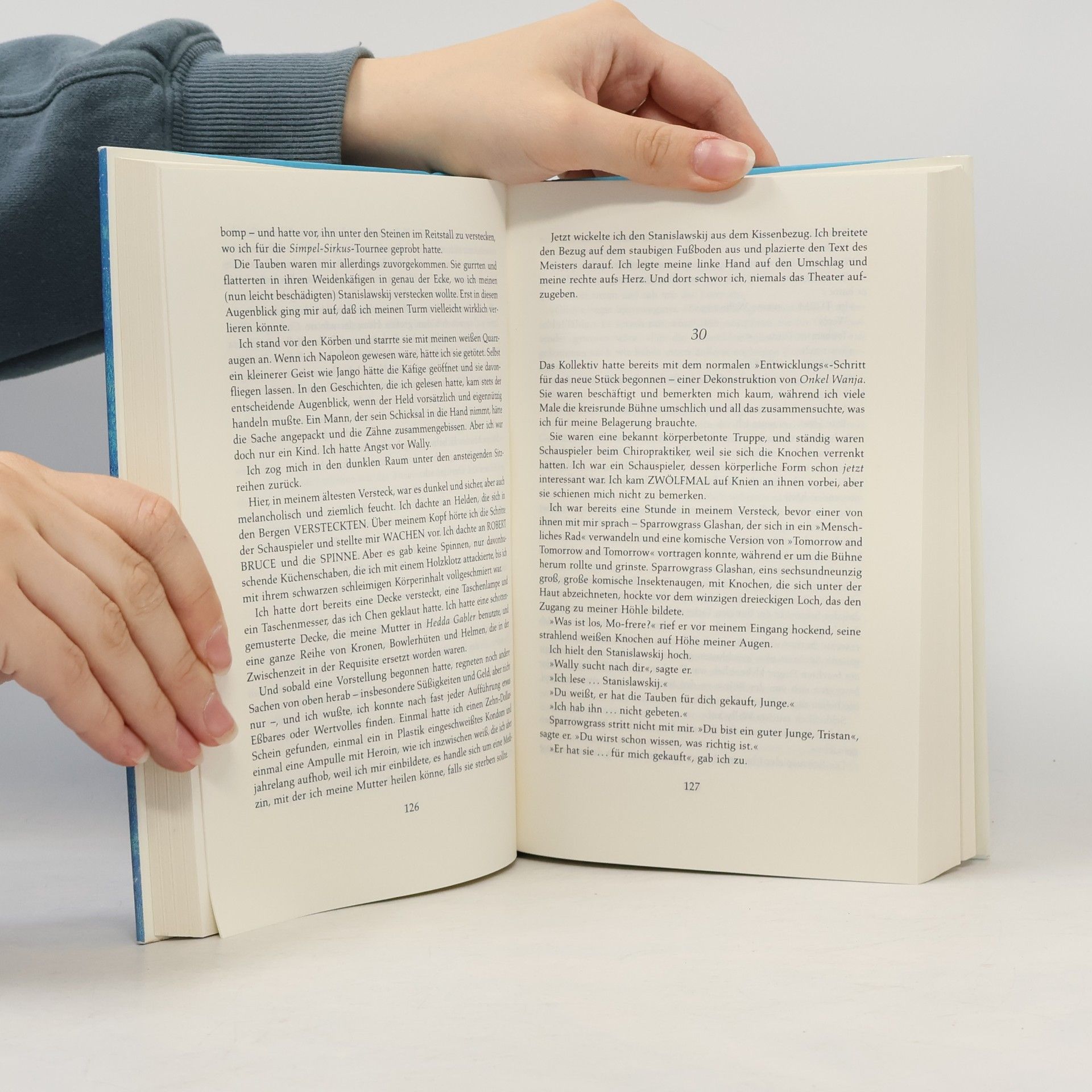 Peter Carey Das seltsame Leben des Tristan Smith. Roman