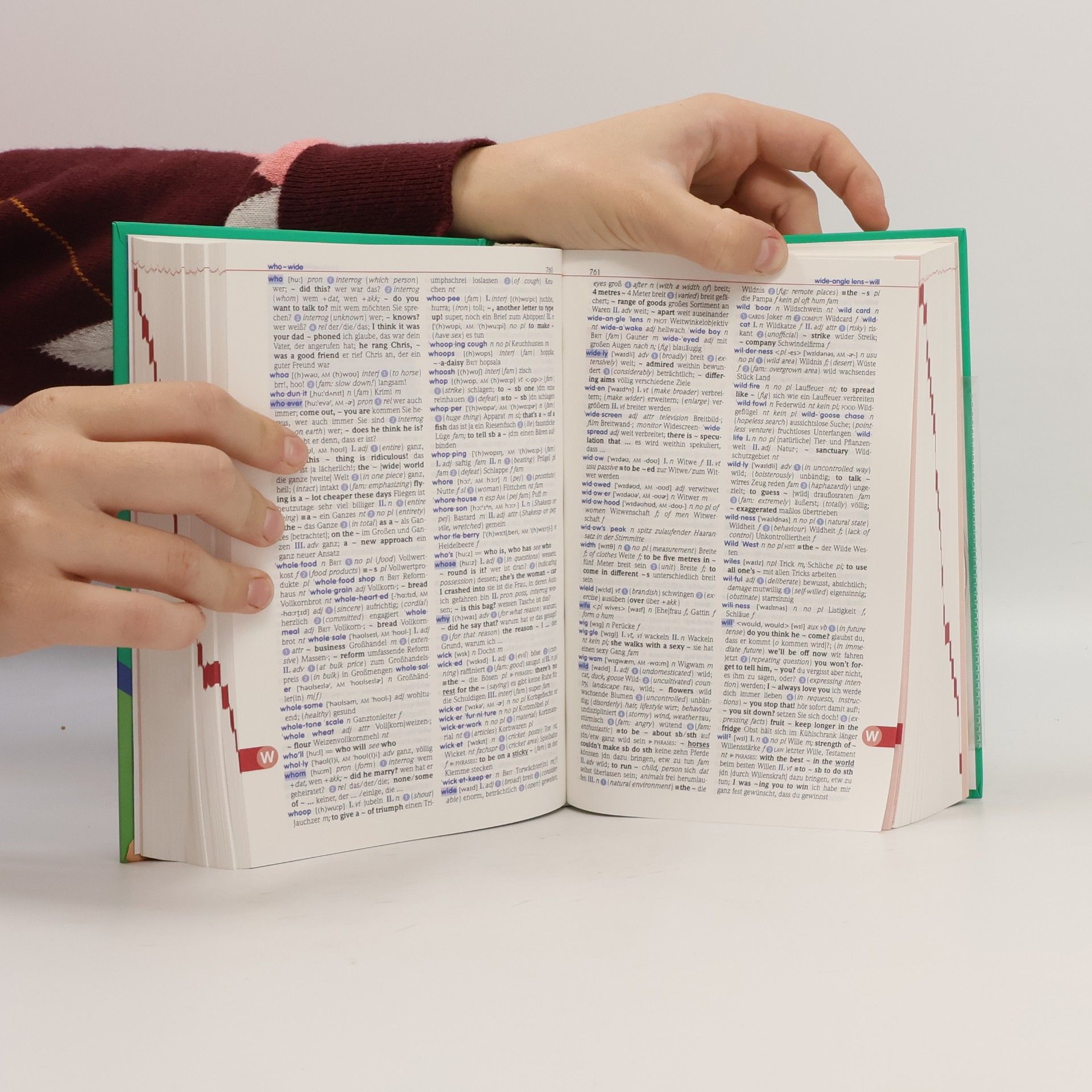 Evelyn Agbaria PONS Schülerwörterbuch
