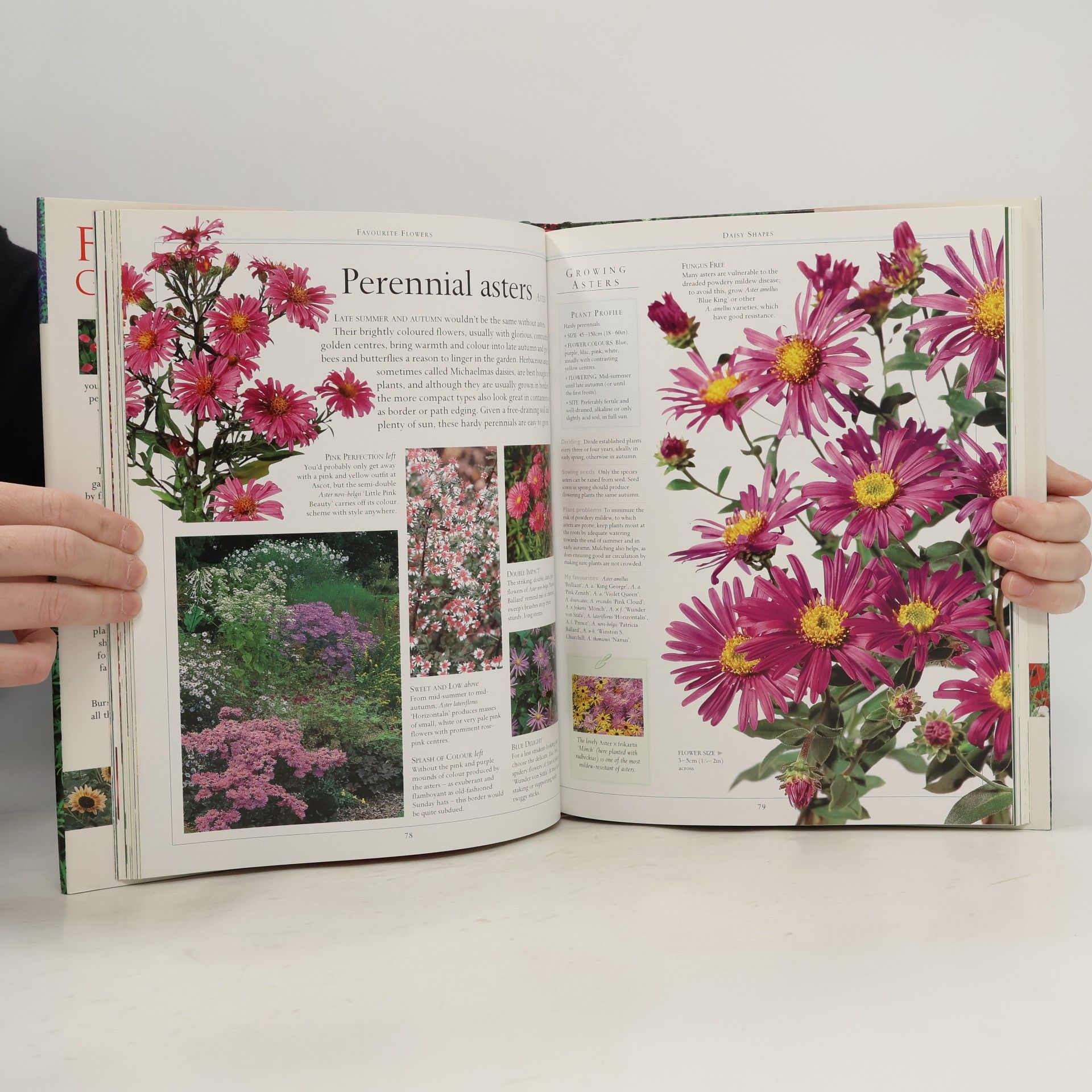 Pippa Greenwood Flower Gardener