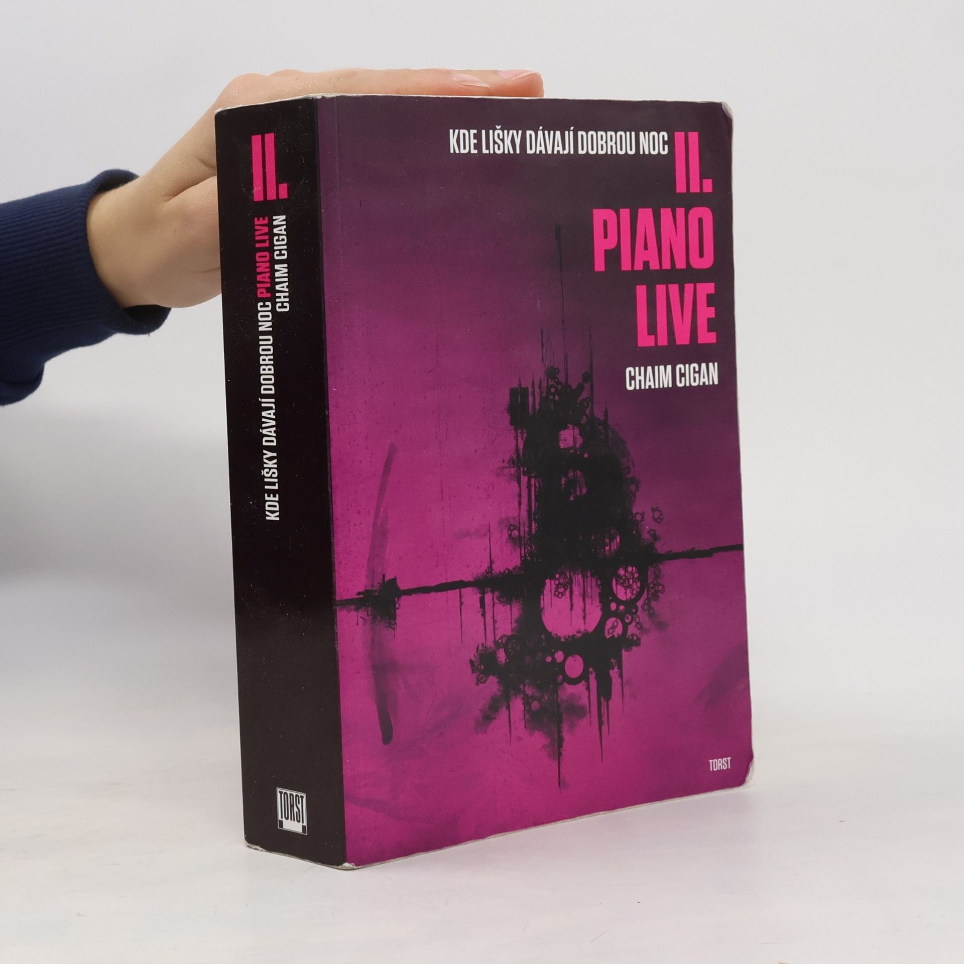 Karol Sidon Kde lišky dávají dobrou noc II. Piano live