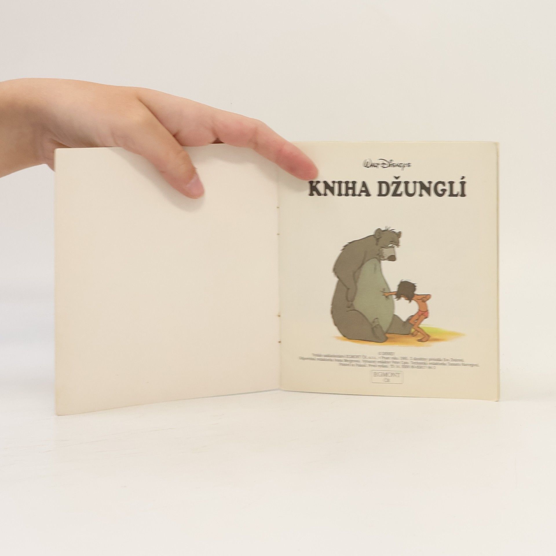 Kolektiv autorů Kniha džunglí