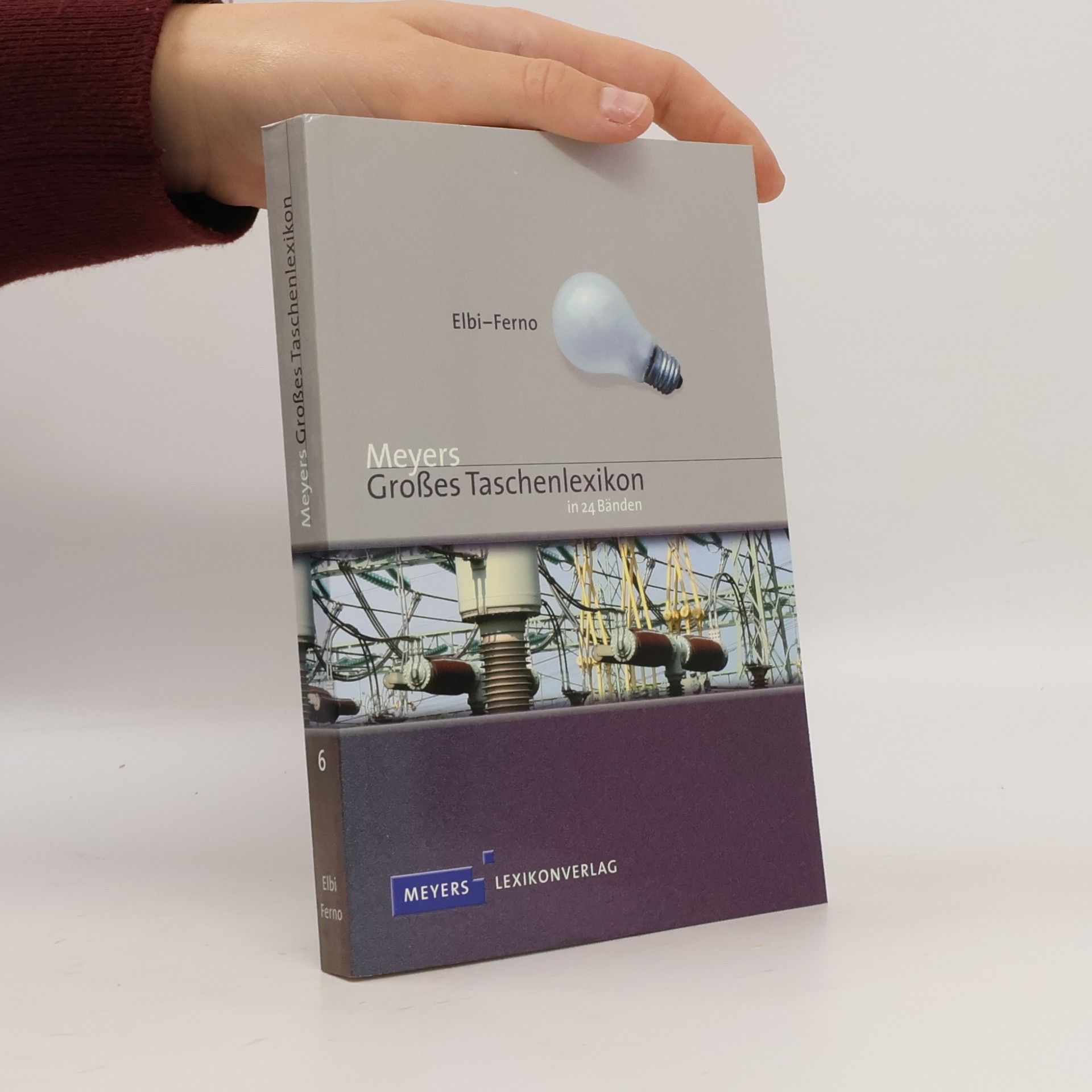 Autorenkollektiv Meyers großes Taschenlexikon 6. Elbi - Ferno