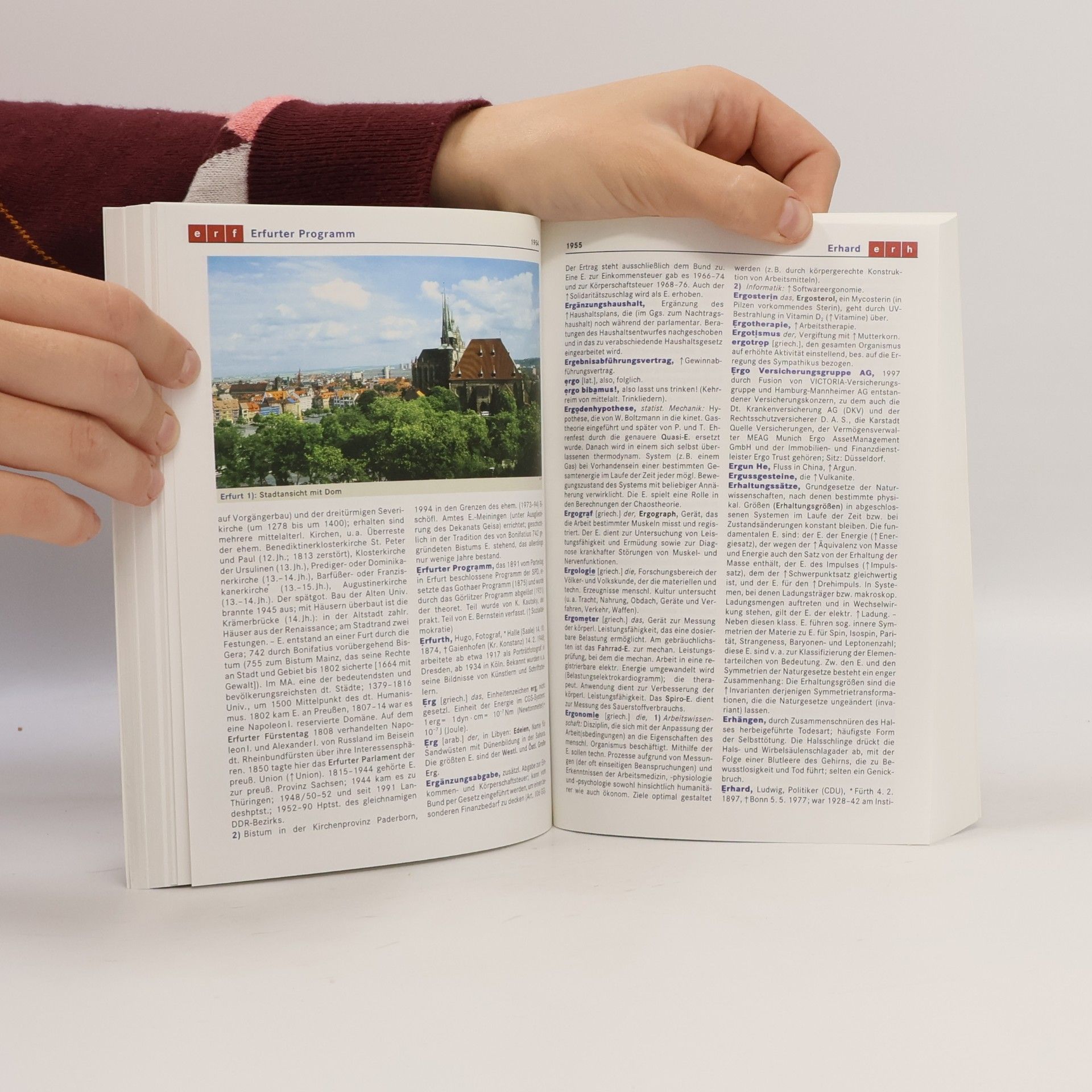 Autorenkollektiv Meyers großes Taschenlexikon 6. Elbi - Ferno