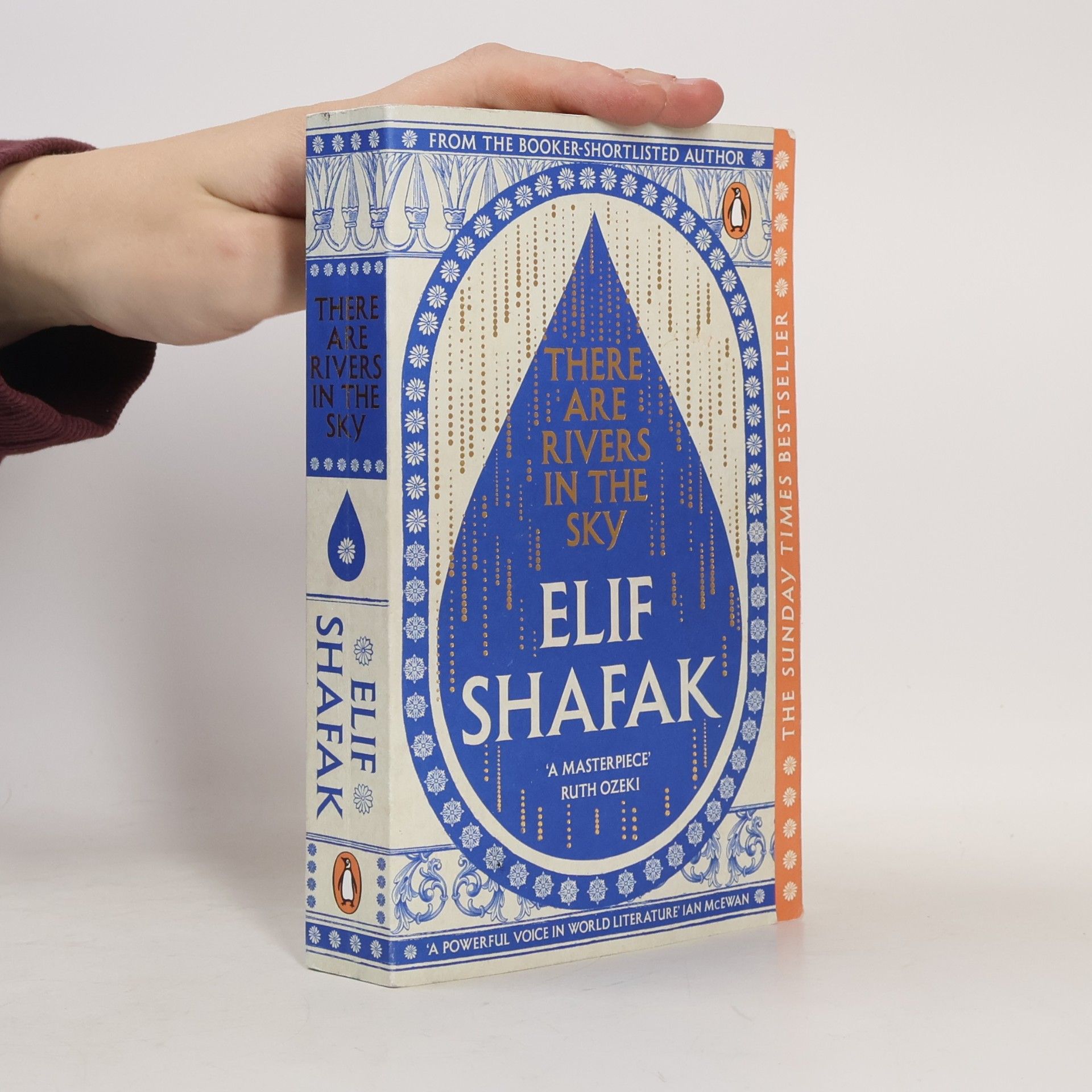 Elif Shafak There are Rivers in the Sky