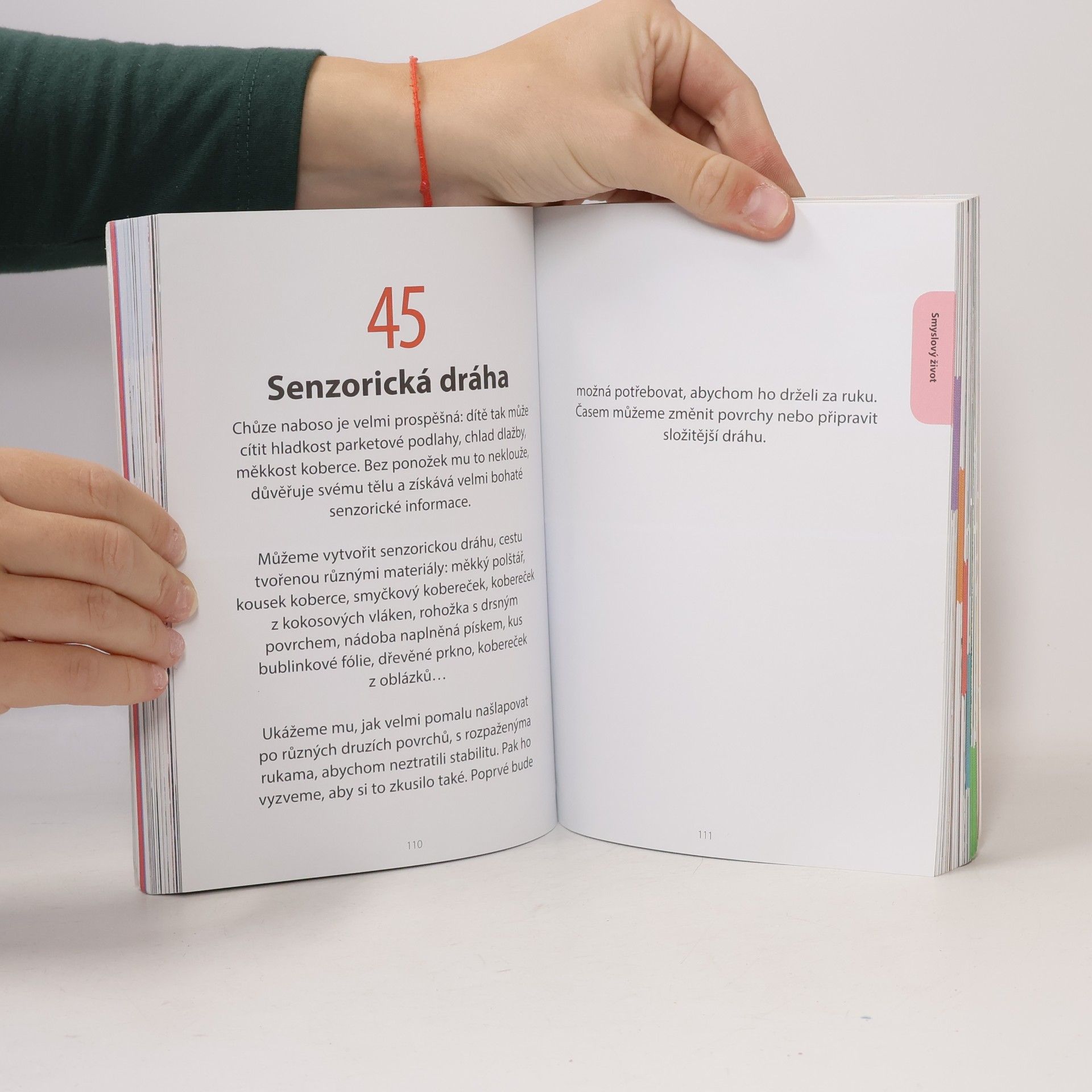 Ève Herrmann 100 vzdělávacích Montessori aktivit
