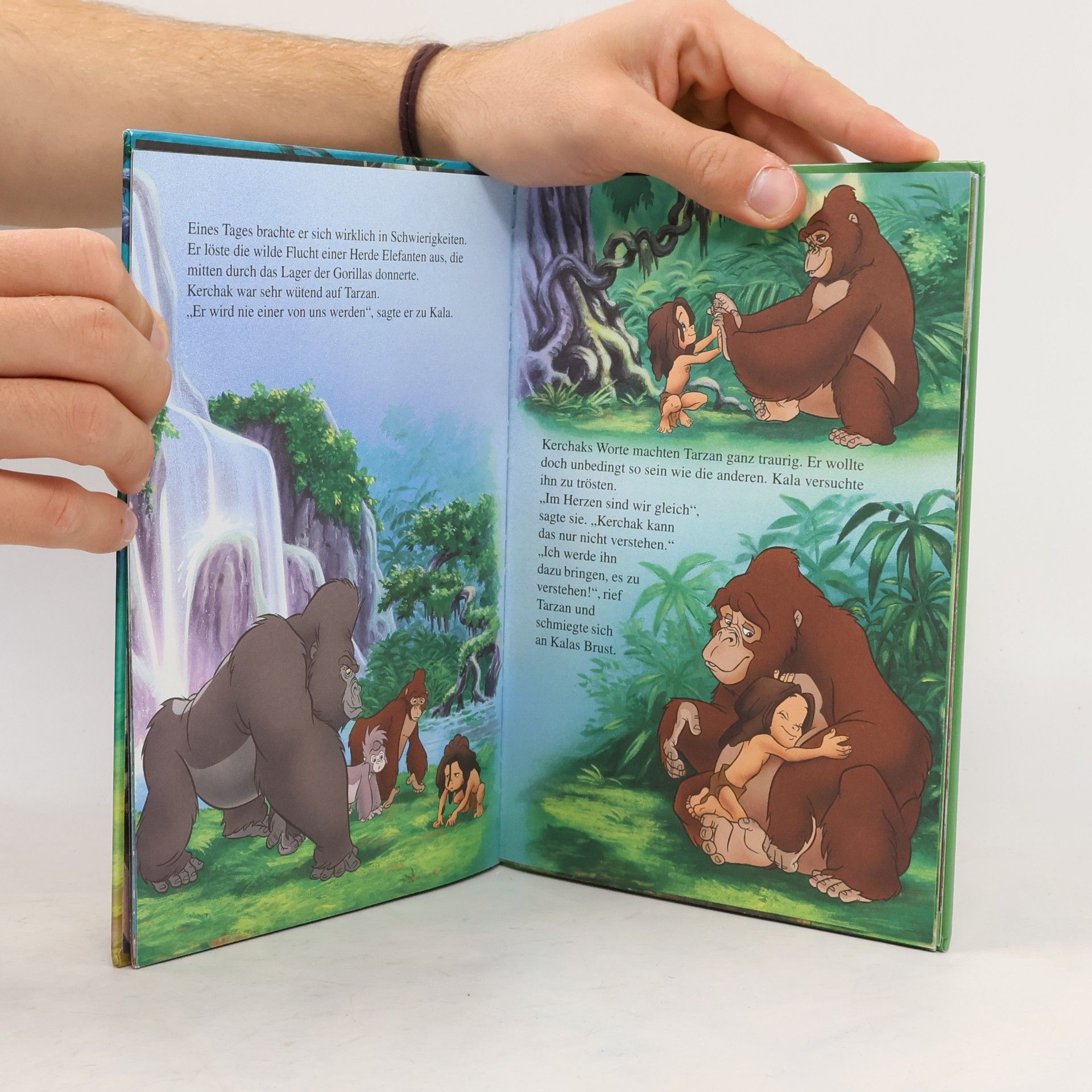 kolektiv Tarzan