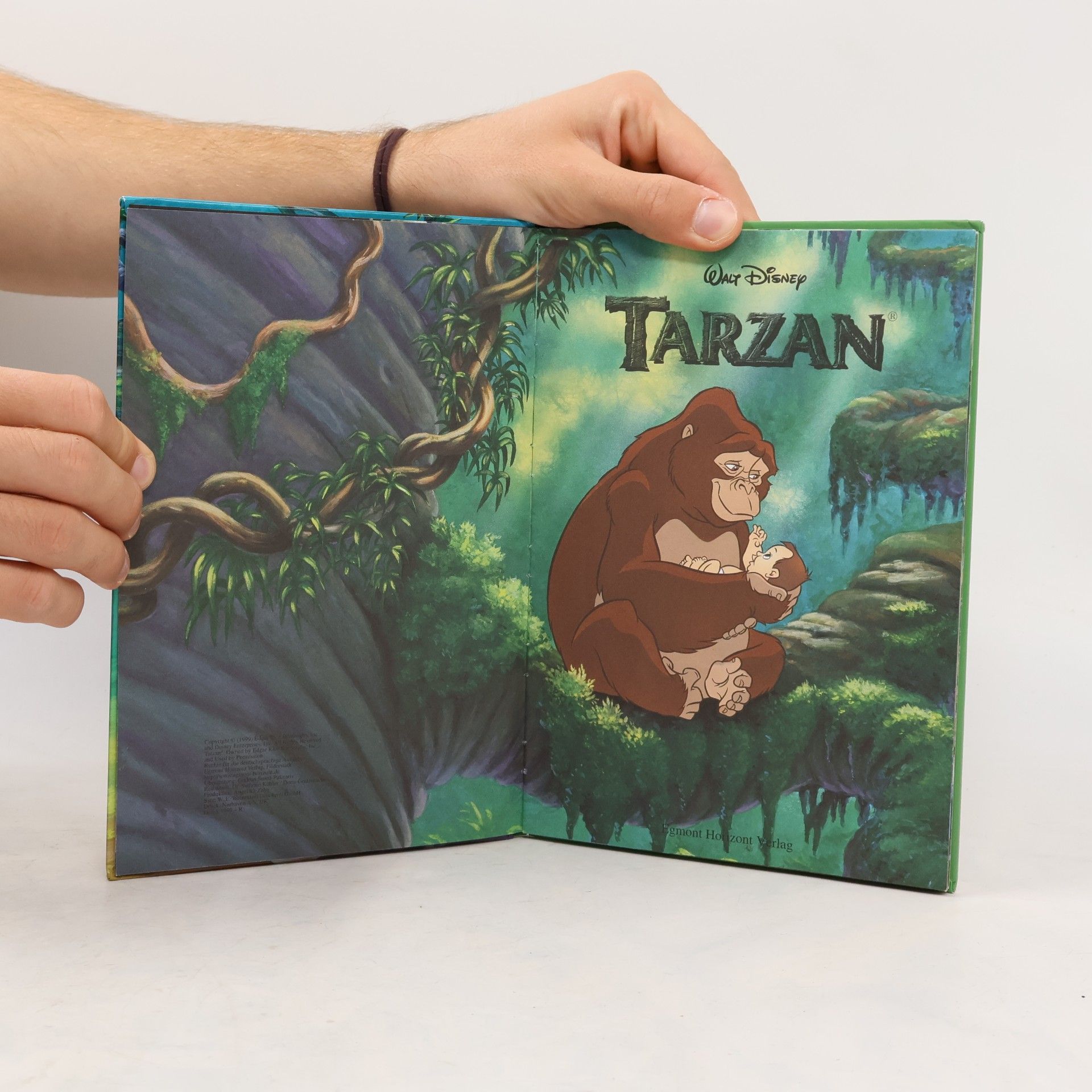 kolektiv Tarzan