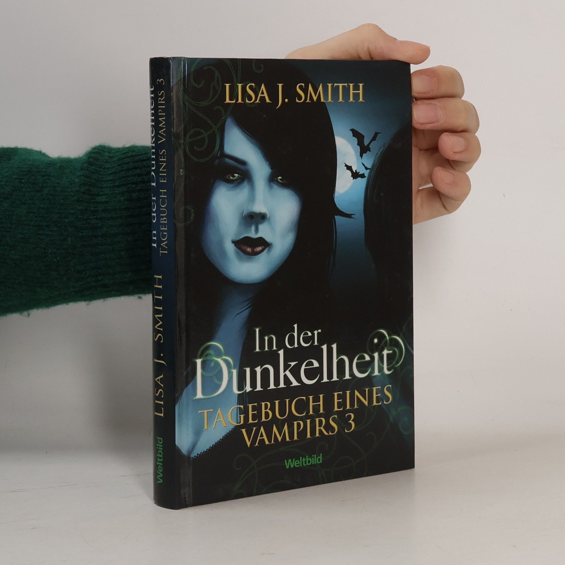 L. J. Smithová  In der Dunkelheit. Tagebuch eines Vampirs 3
