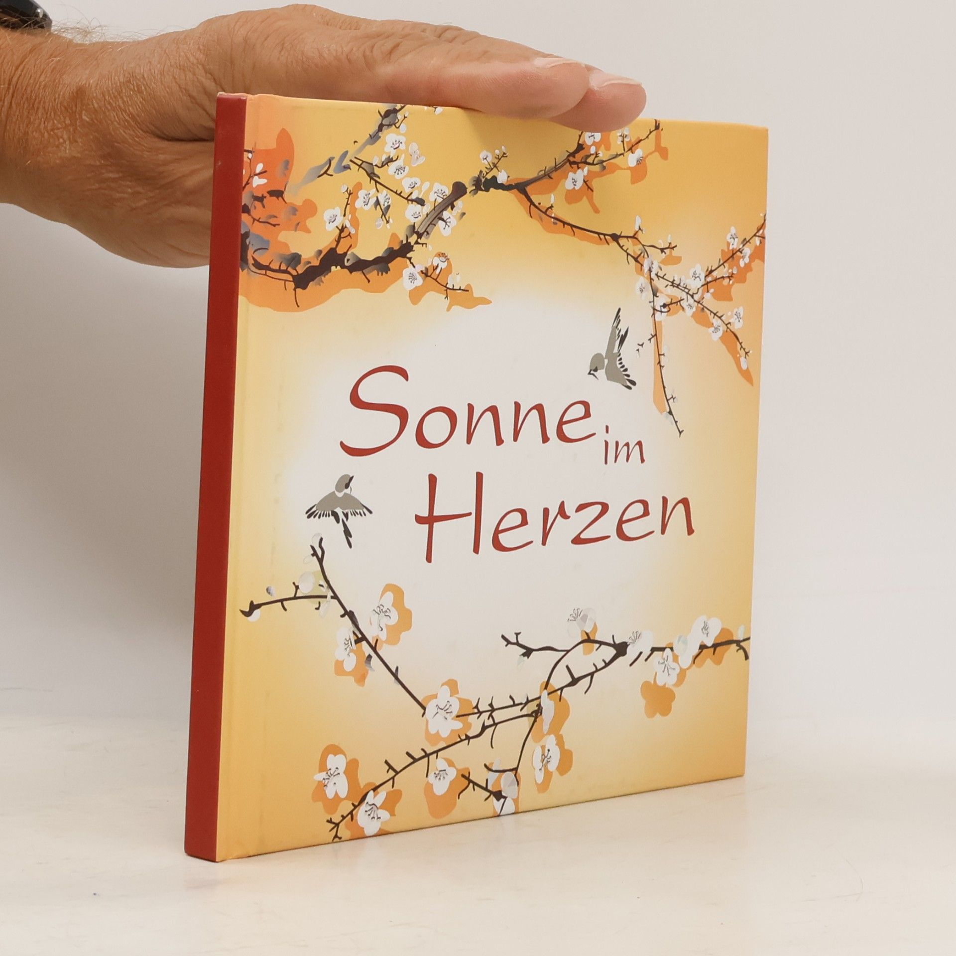 Sonne im Herzen
