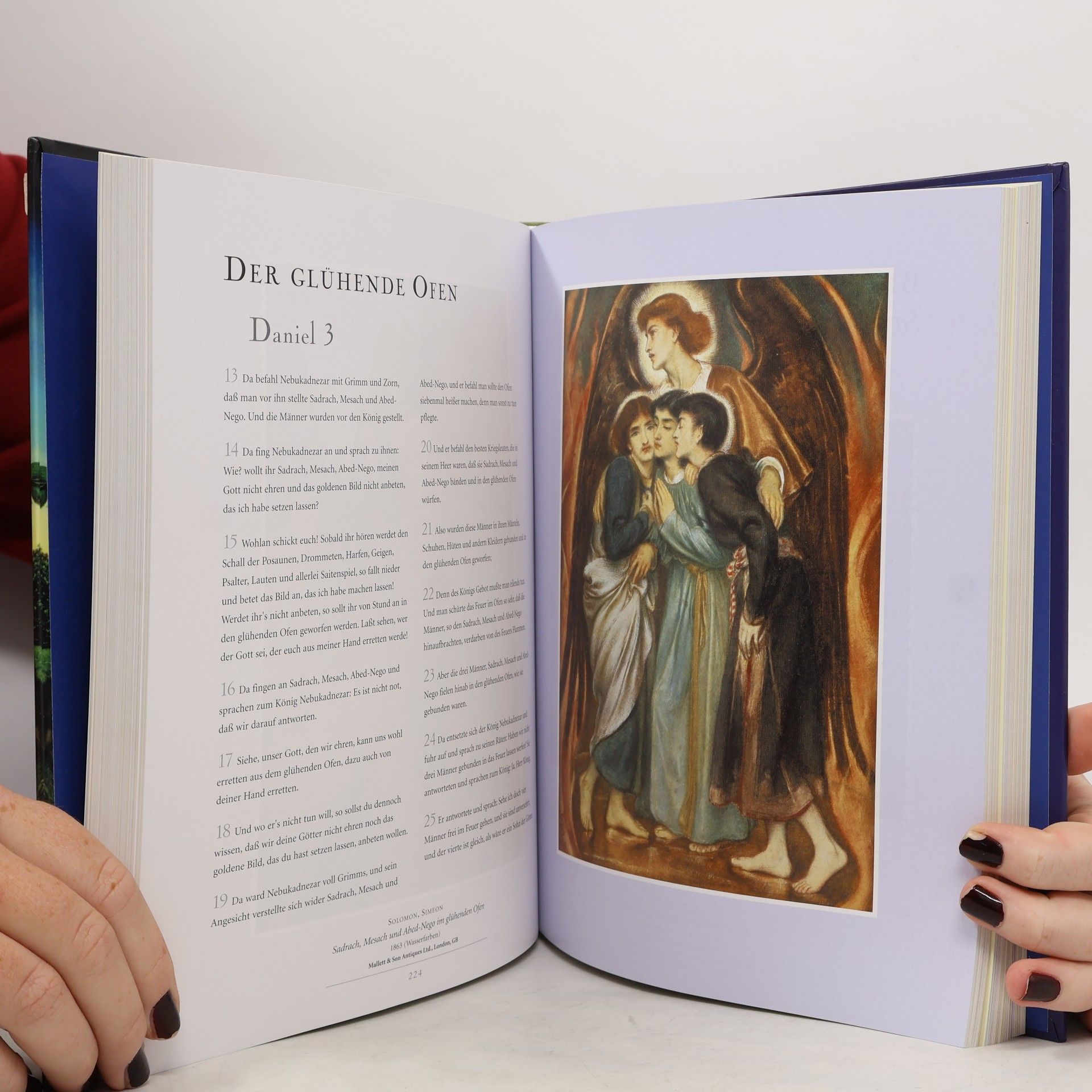 Die Bibel