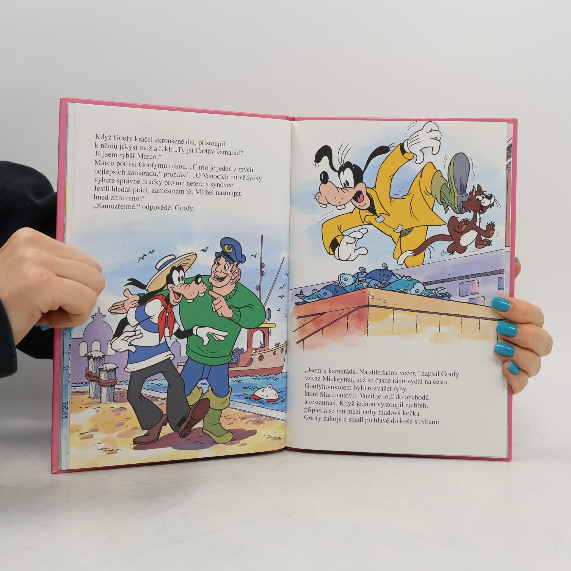 Jiří Stach Goofy a gondola: Dobrodružství v Itálii