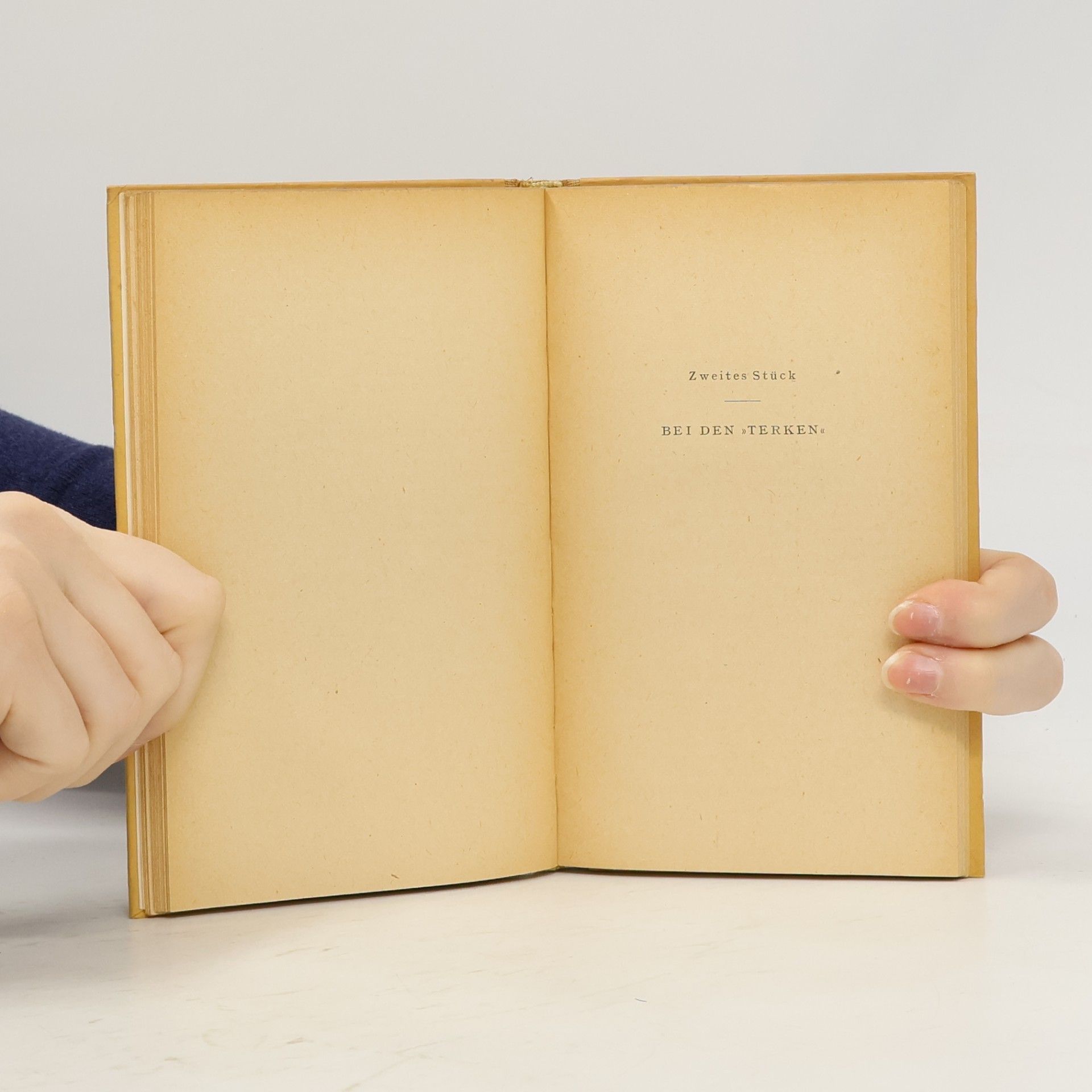 Alphonse Daudet Tartarins von Tarascon wunderbare Abenteuer