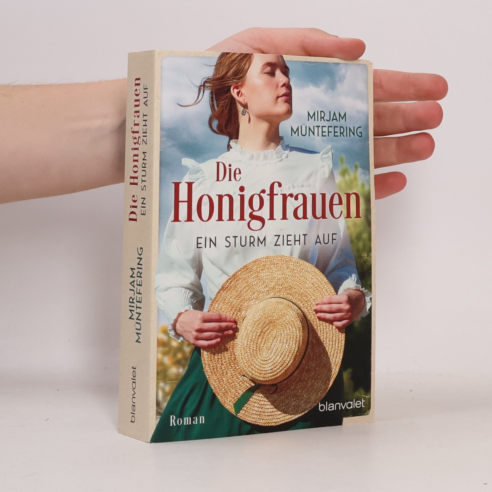 Mirjam Müntefering Die Honigfrauen - Ein Sturm zieht auf: Roman - Die mitreißende Familiensaga über das Schicksal dreier Frauen! (Die Honigfrauen-Saga, Band 1)