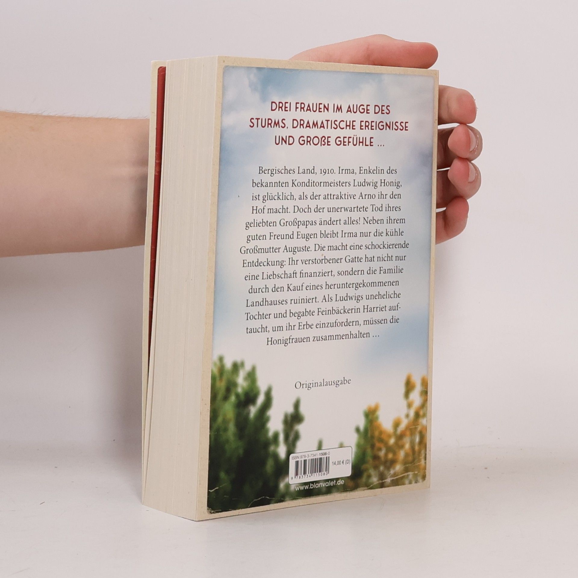 Mirjam Müntefering Die Honigfrauen - Ein Sturm zieht auf: Roman - Die mitreißende Familiensaga über das Schicksal dreier Frauen! (Die Honigfrauen-Saga, Band 1)