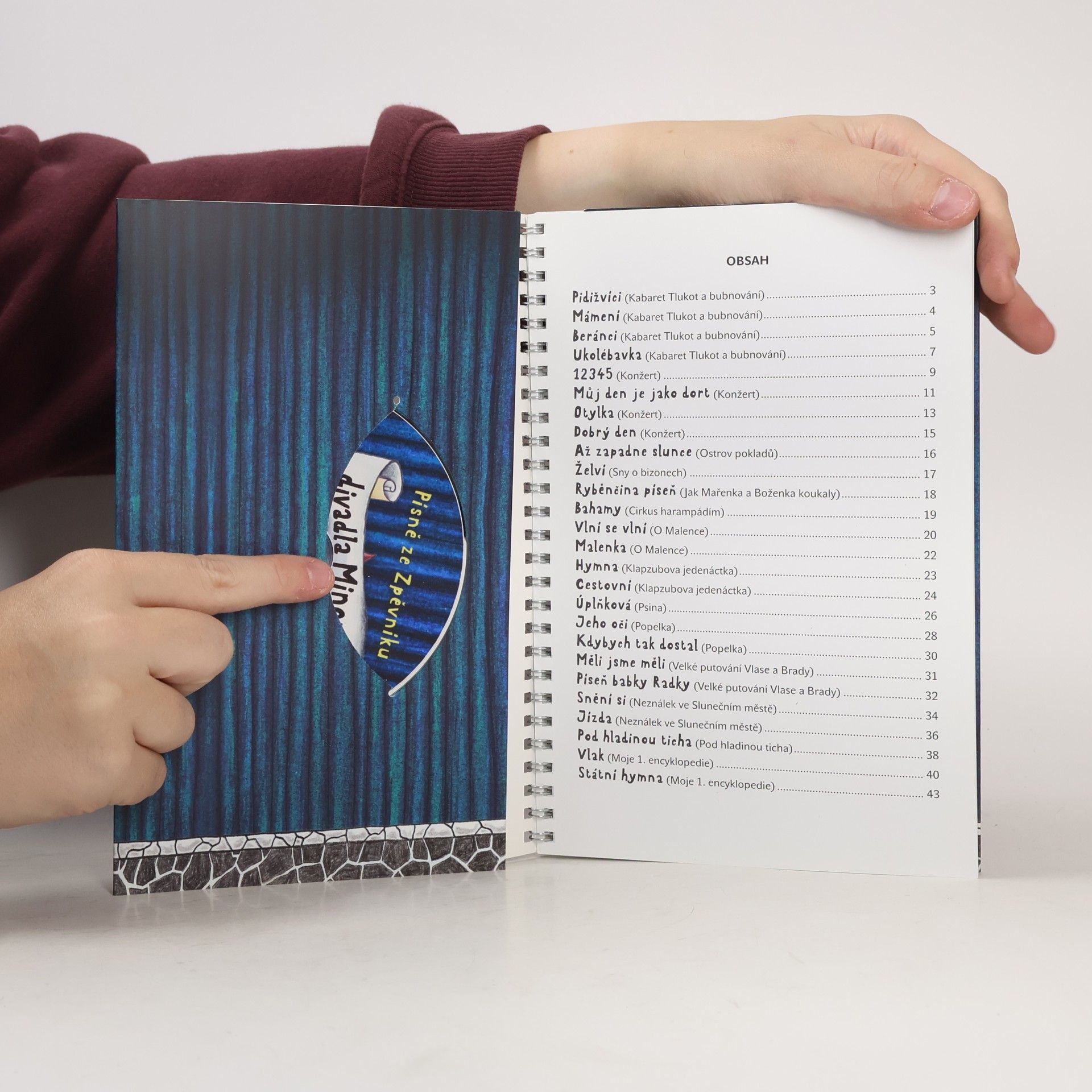Autorenkollektiv Zpěvník písní divadla Minor