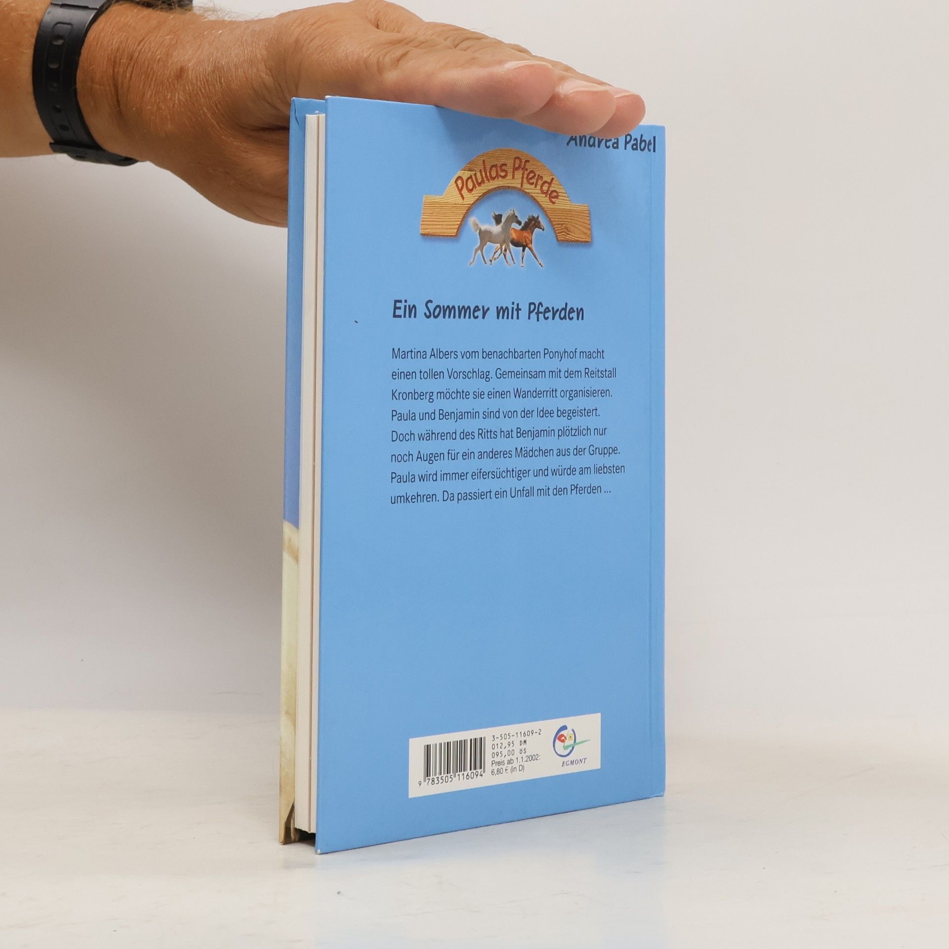 Andrea Pabel Paulas Pferde - 3: Ein Sommer mit Pferden