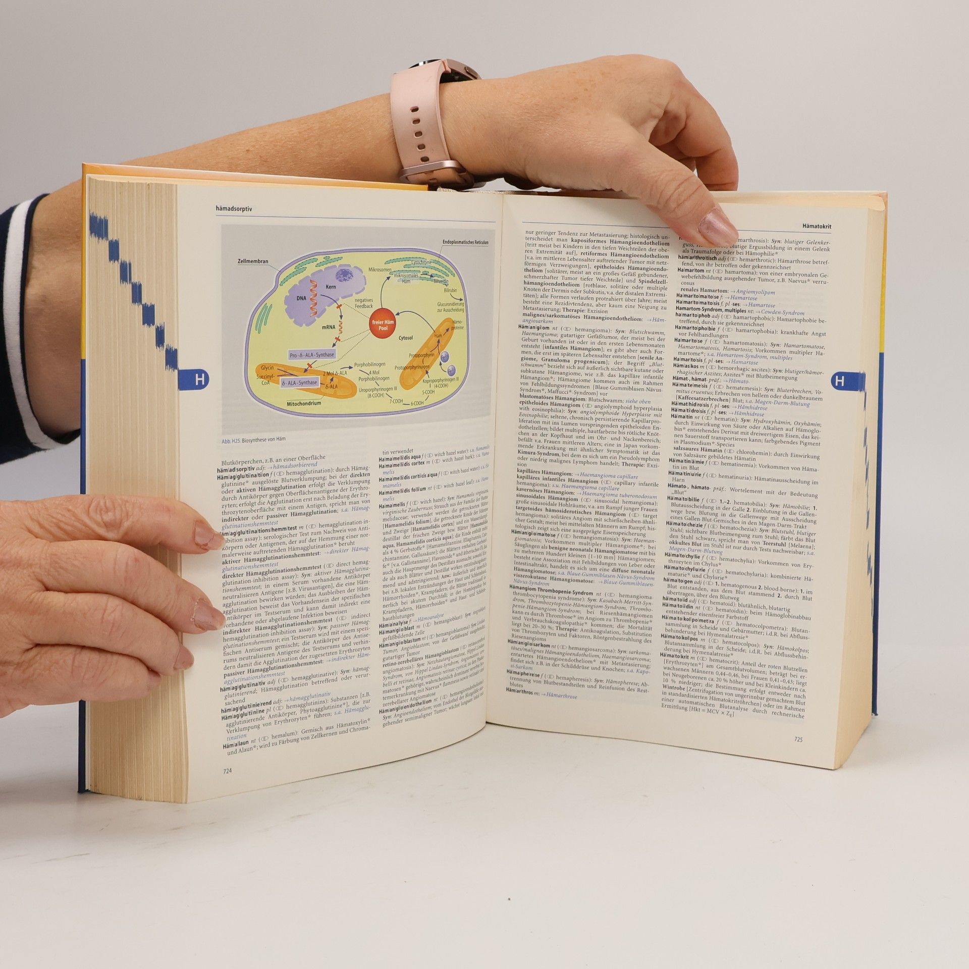 Peter Reuter Springer klinisches Wörterbuch
