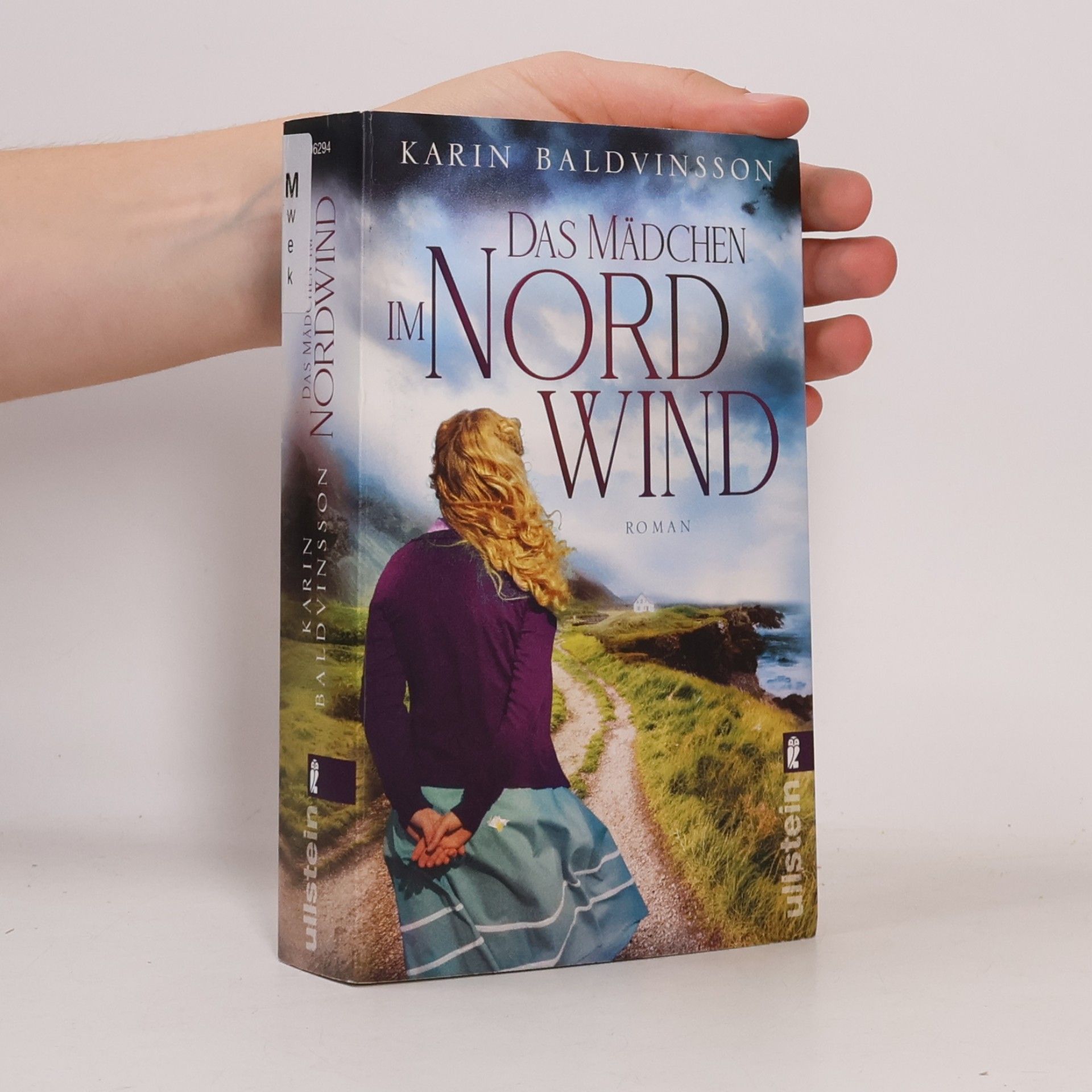 Karin Baldvinsson Das Mädchen im Nordwind