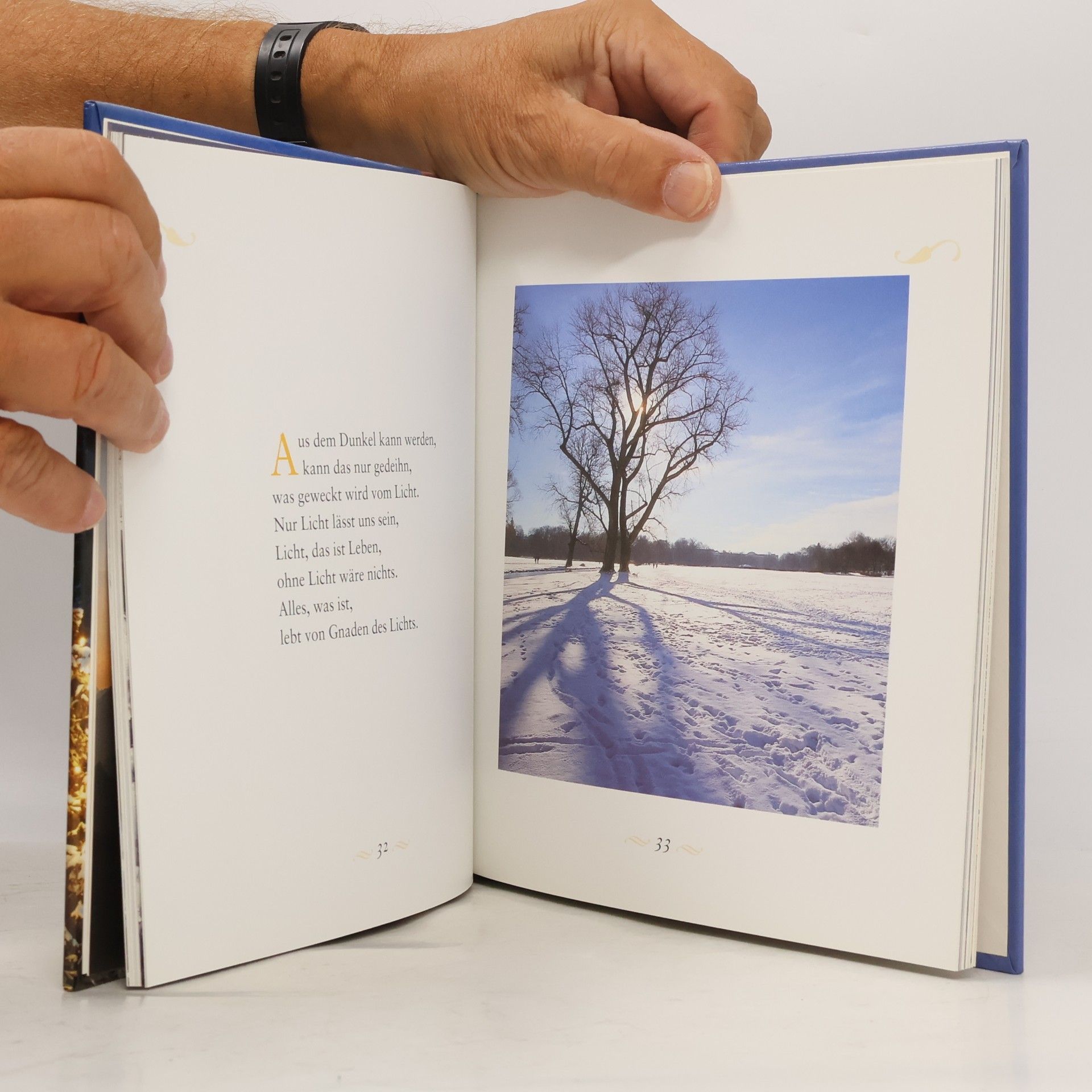 Helmut Zöpfl Ich wünsch dir ein frohes Fest