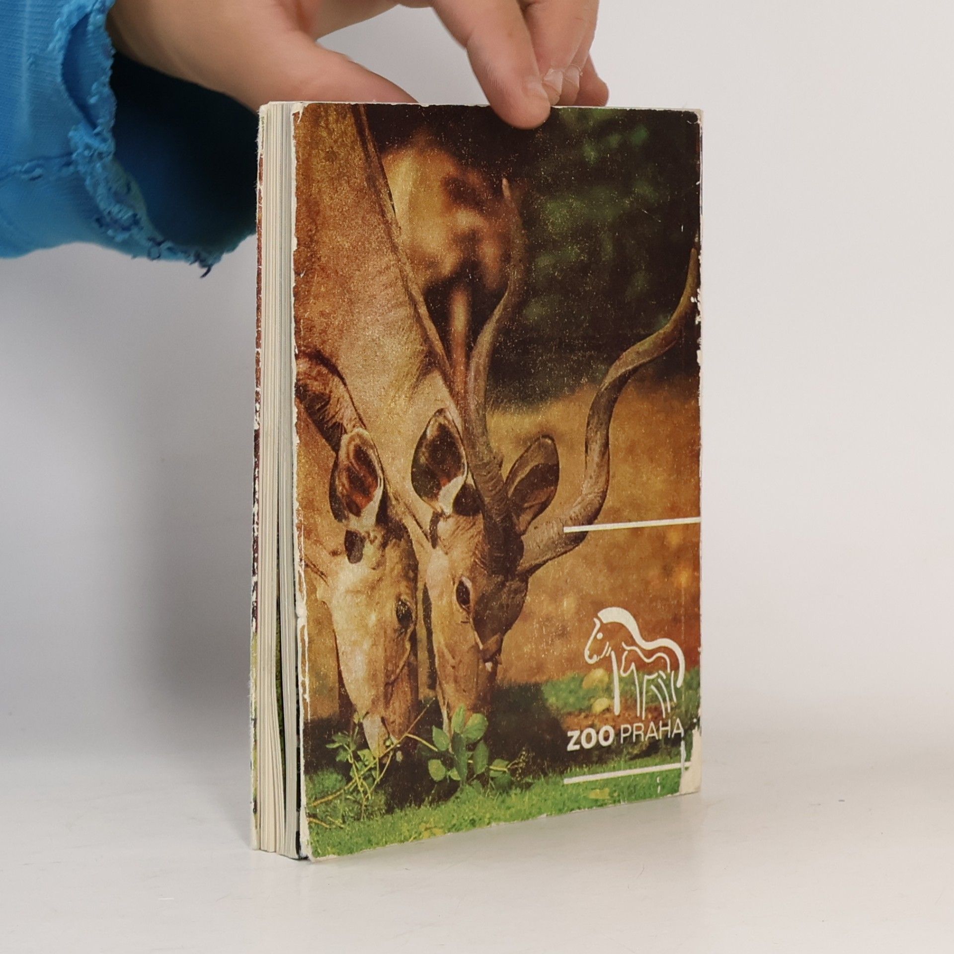 Zdeněk Veselovský ZOO Praha. Umíte se dívat na zvířata?