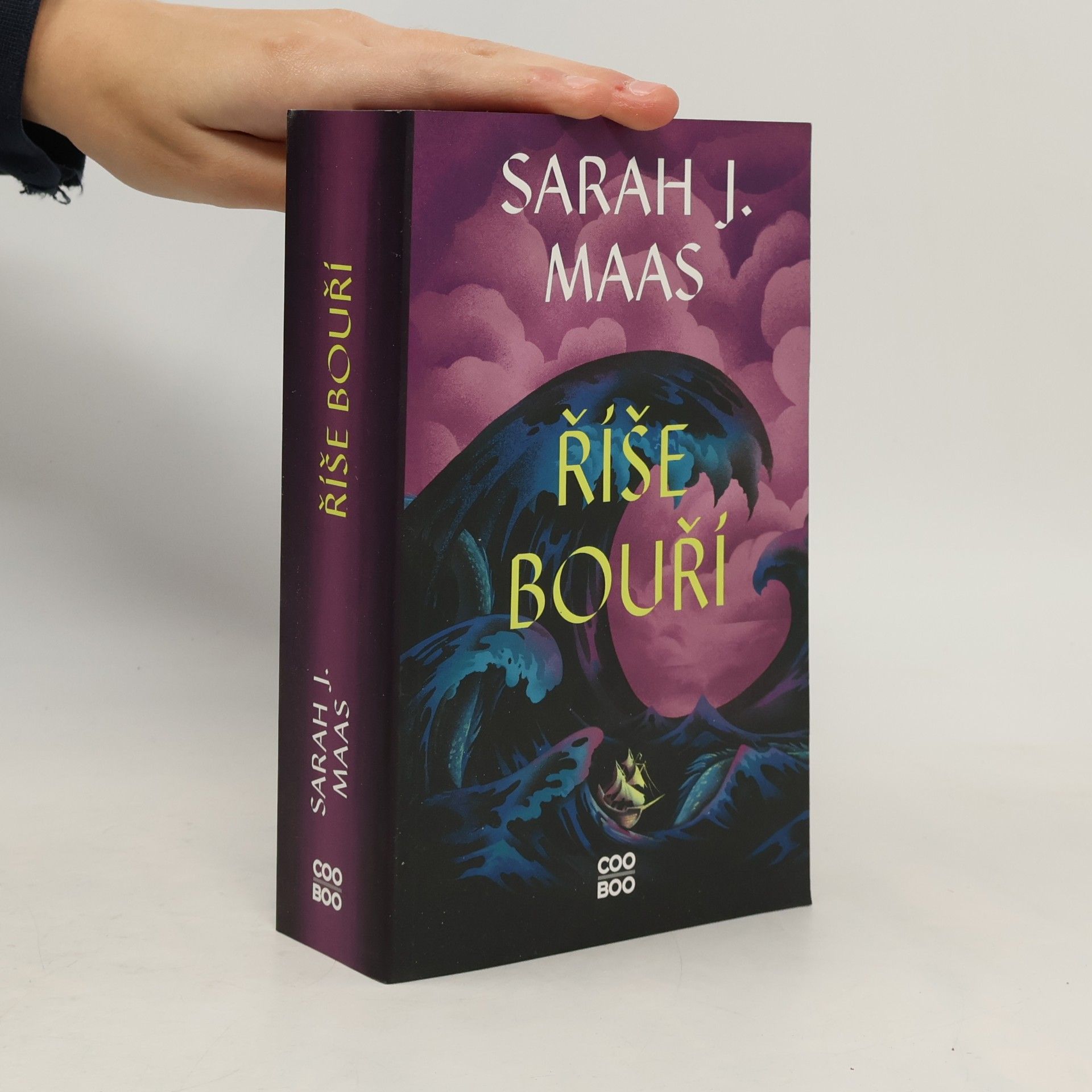 Sarah J. Maas Říše bouří