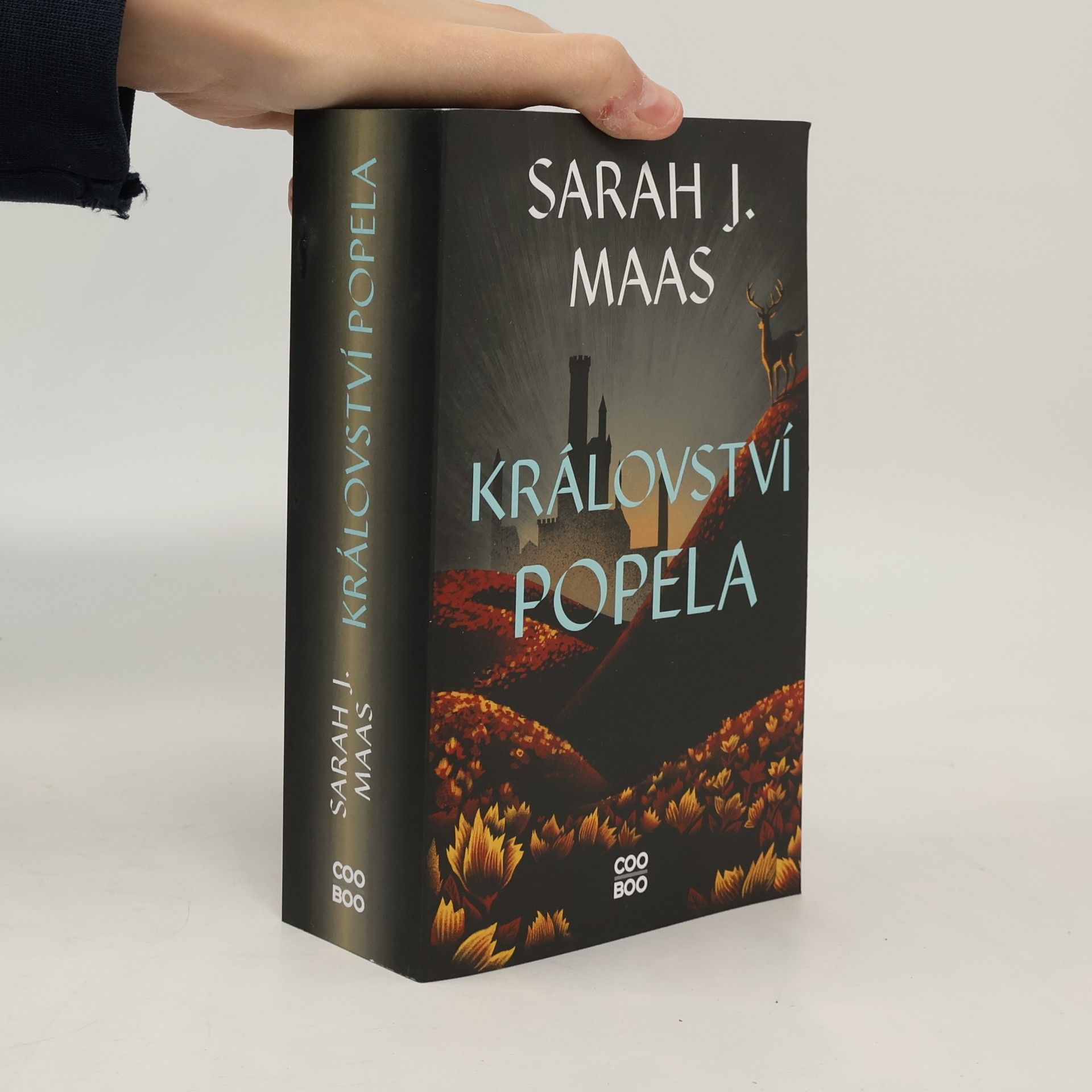 Sarah J. Maas Království popela