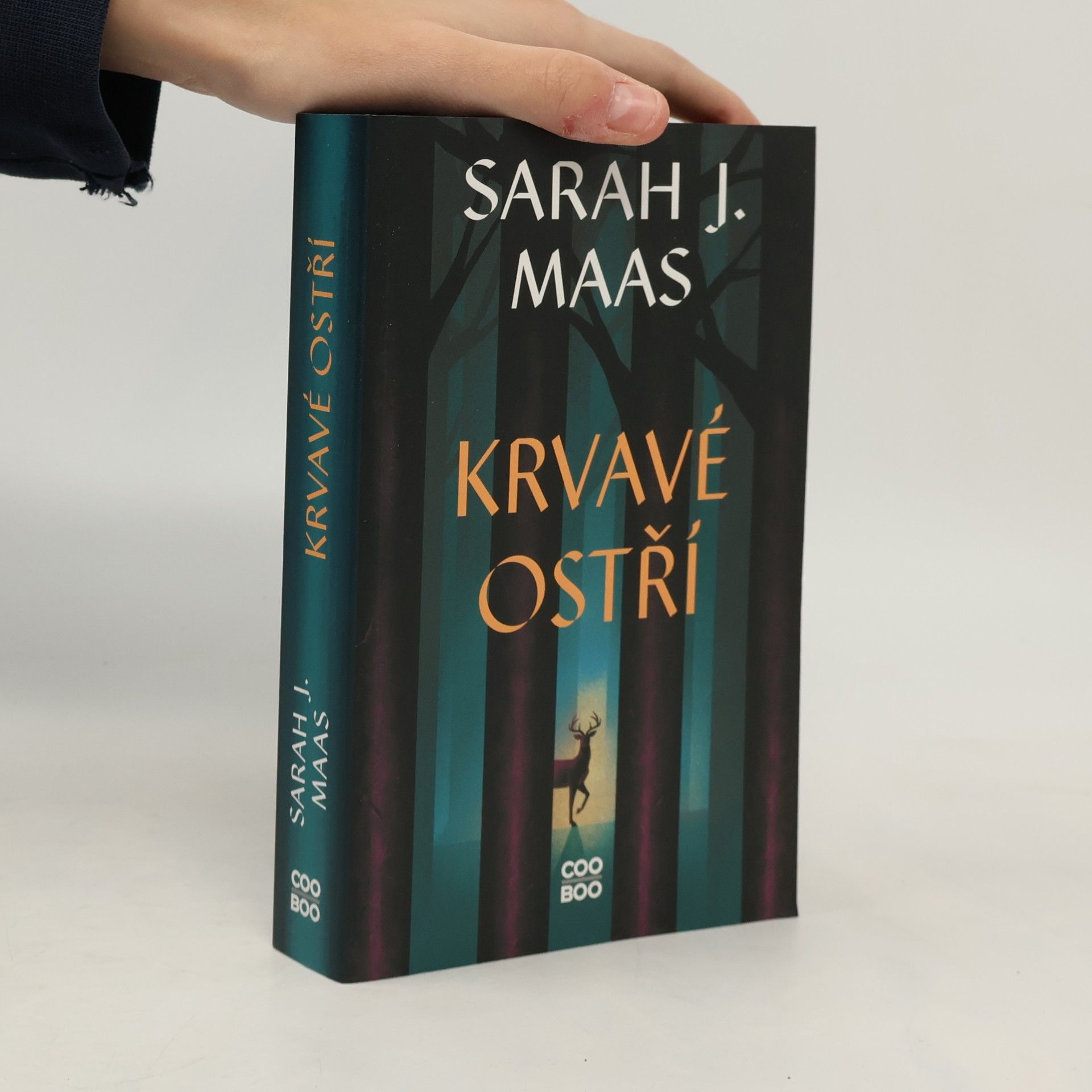 Sarah J. Maas Krvavé ostří