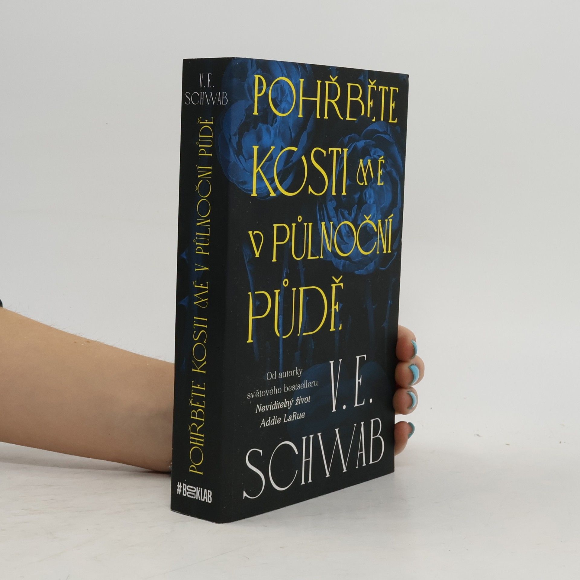 V. E. Schwab Pohřběte kosti mé v půlnoční půdě