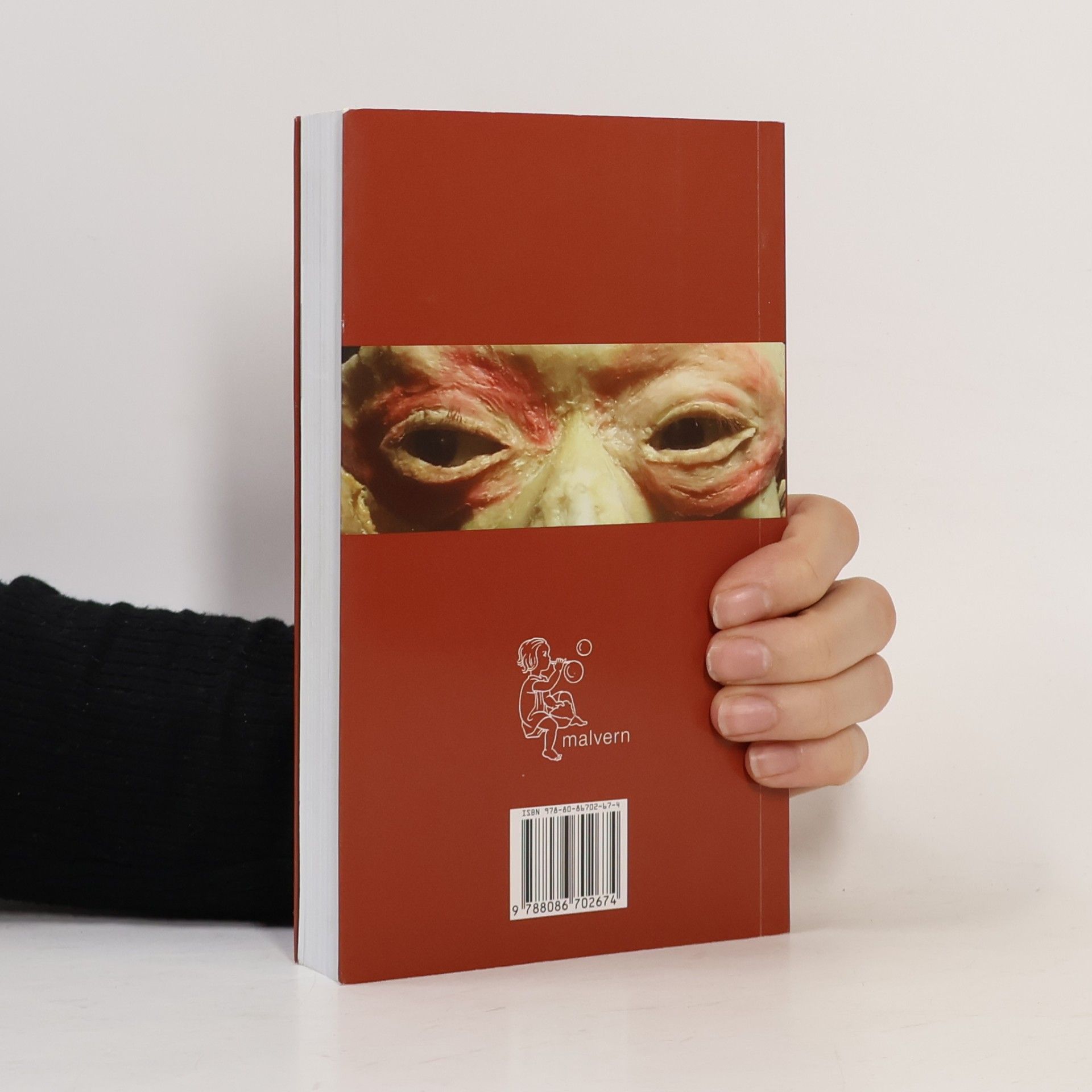 Jan Štern Psychoanalýza všednosti