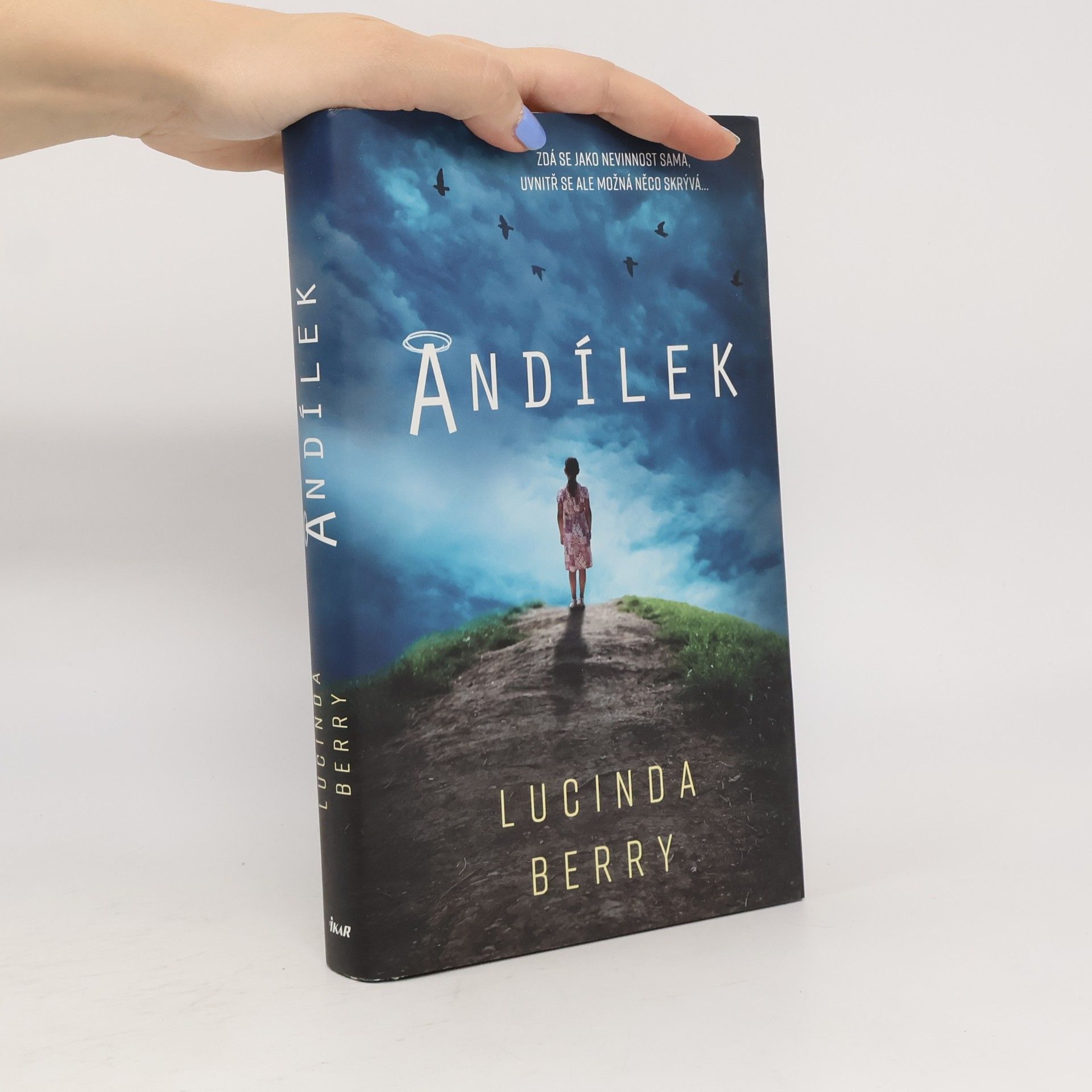 Lucinda Berry Andílek